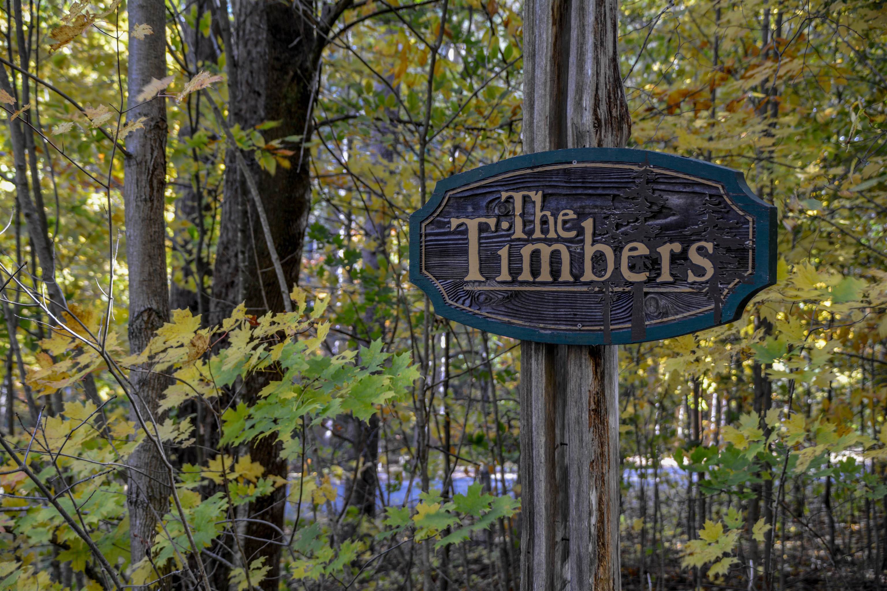 W Timber Lane Property Photo 2