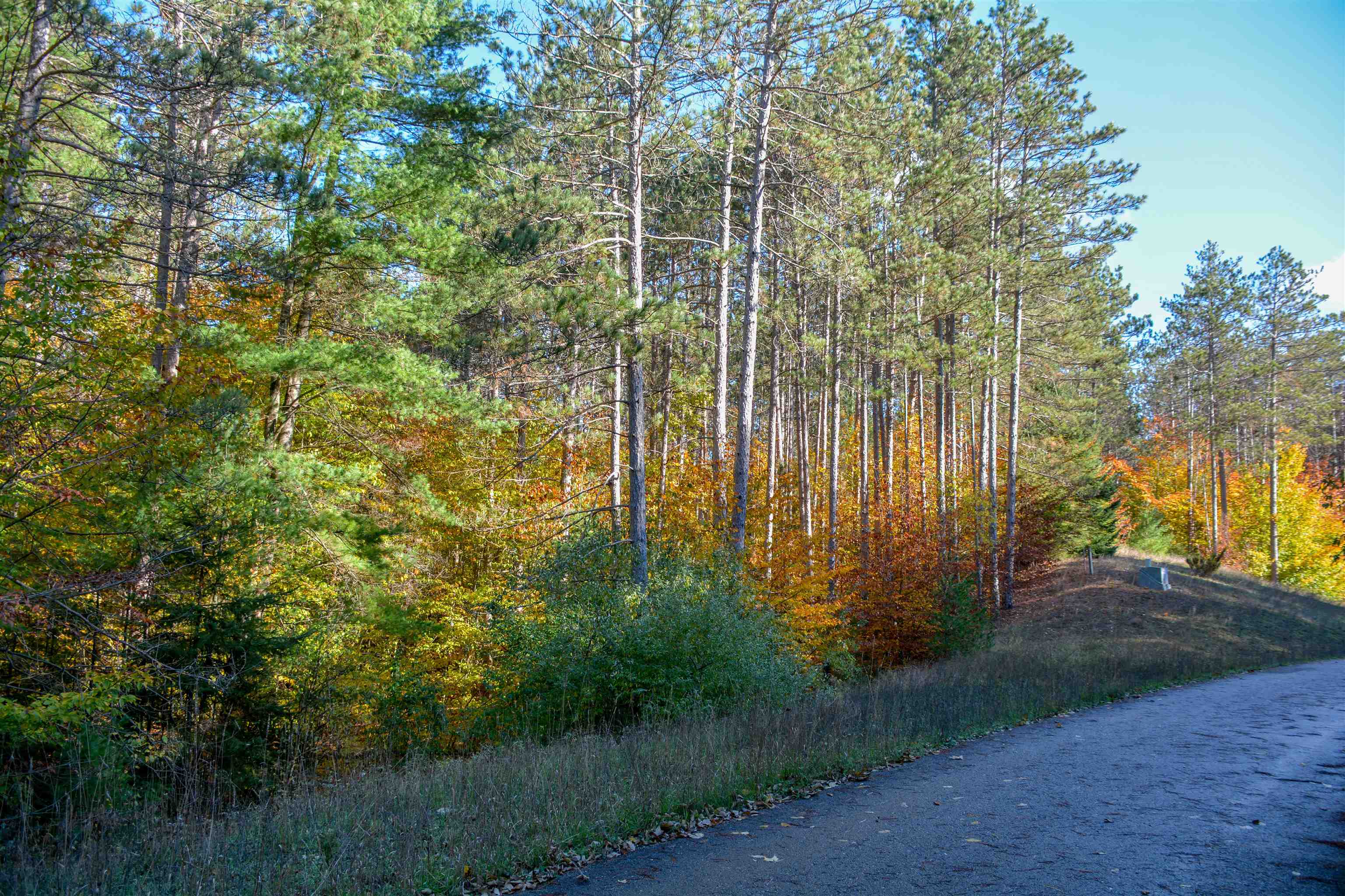 W Timber Lane Property Photo 6