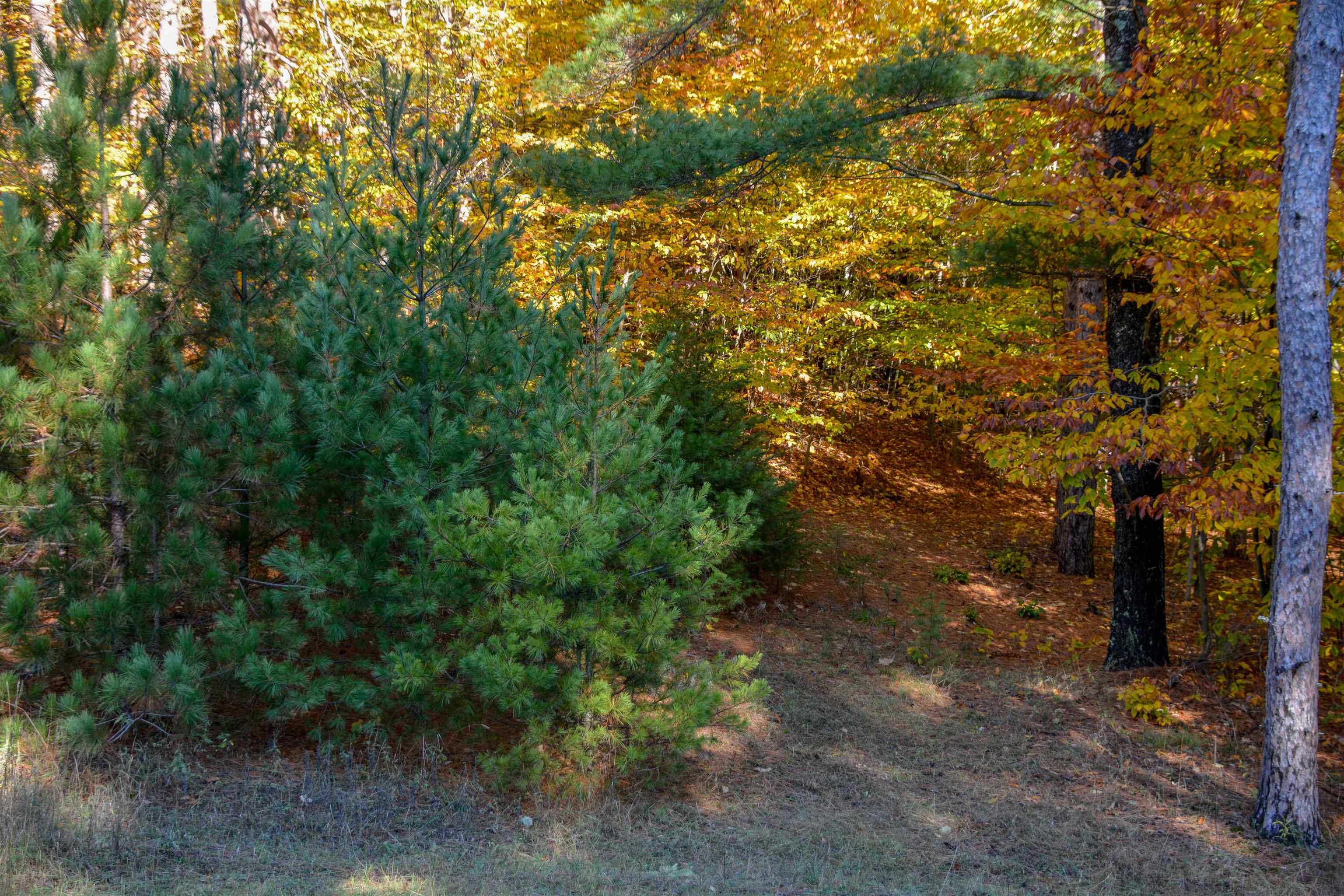 W Timber Lane Property Photo 7