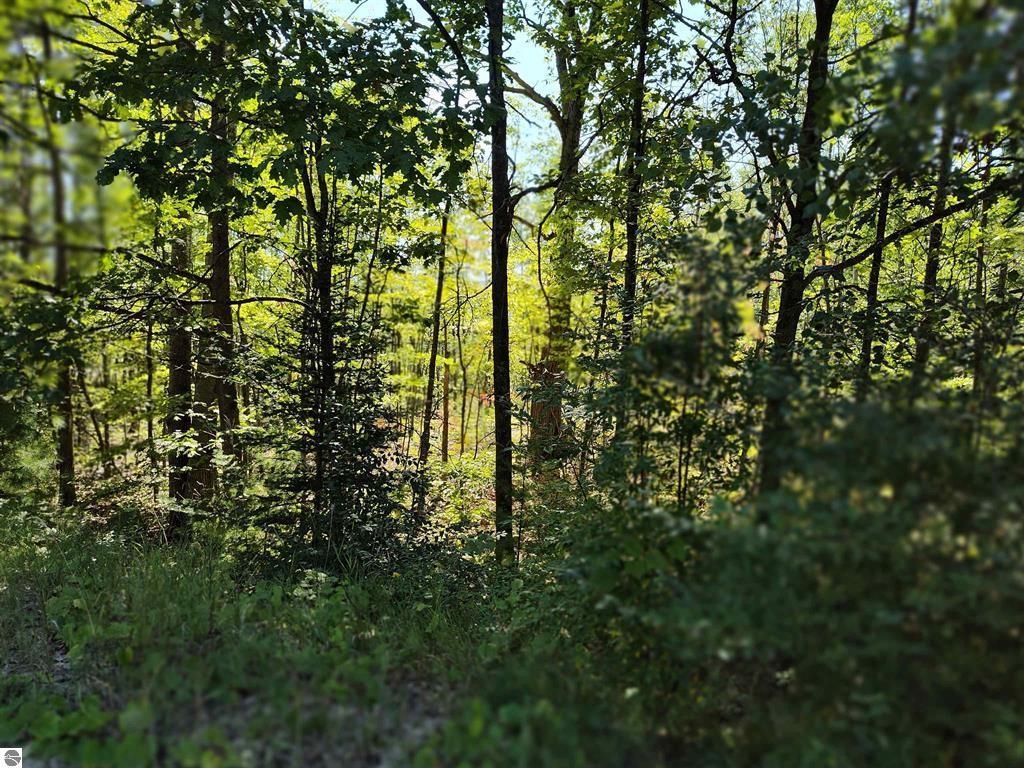 Tbd N Circle E Property Photo 3