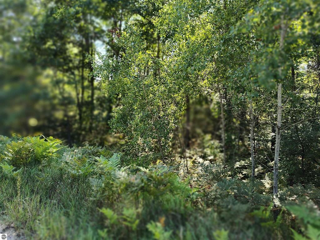 Tbd N Circle E Property Photo 8