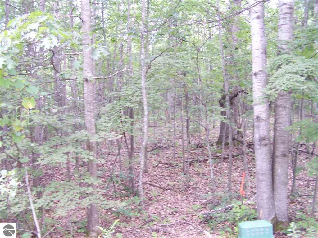 Tbd N Circle E Property Photo 9