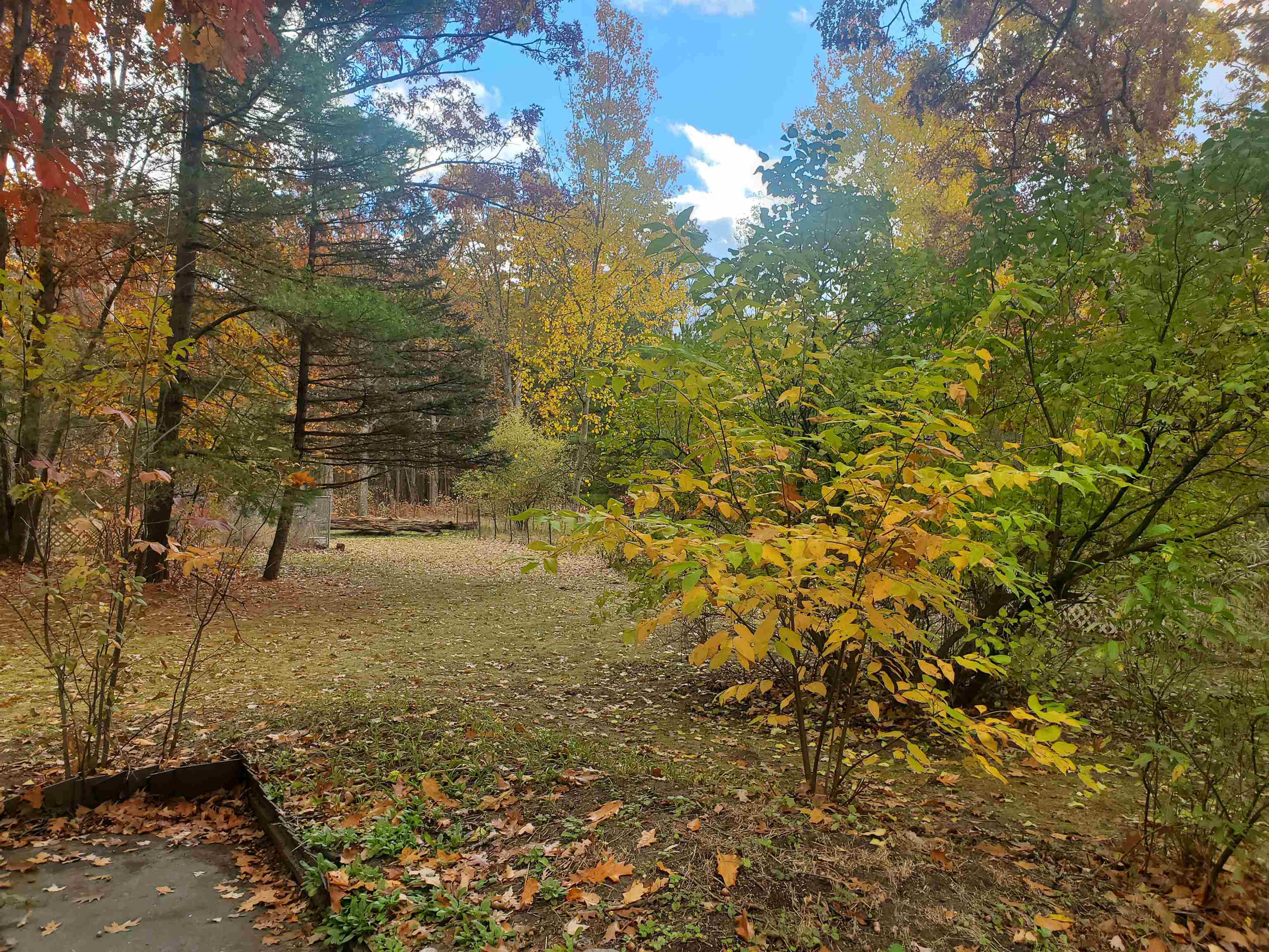 7323 Karlin Road Property Photo 23