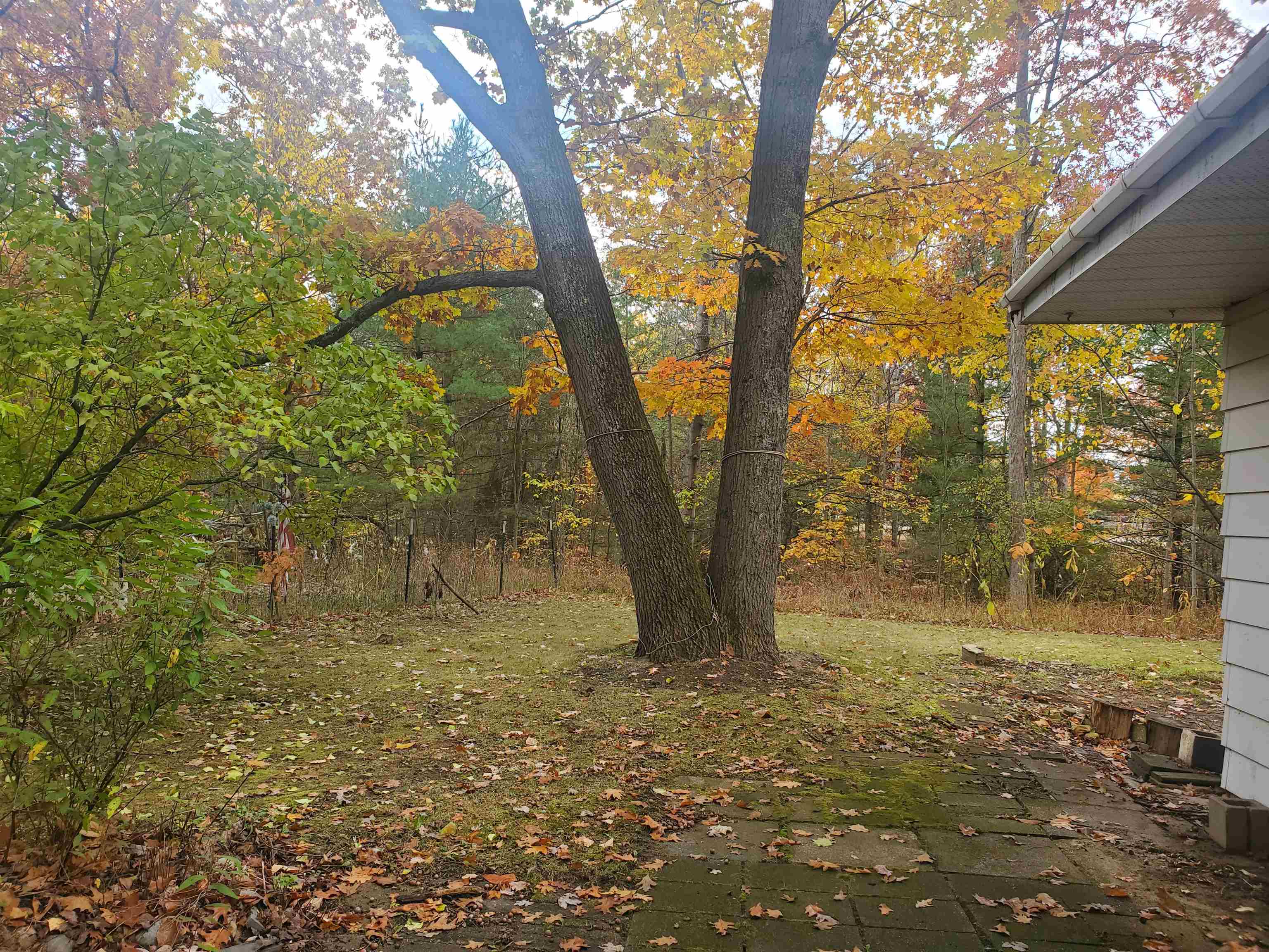 7323 Karlin Road Property Photo 24