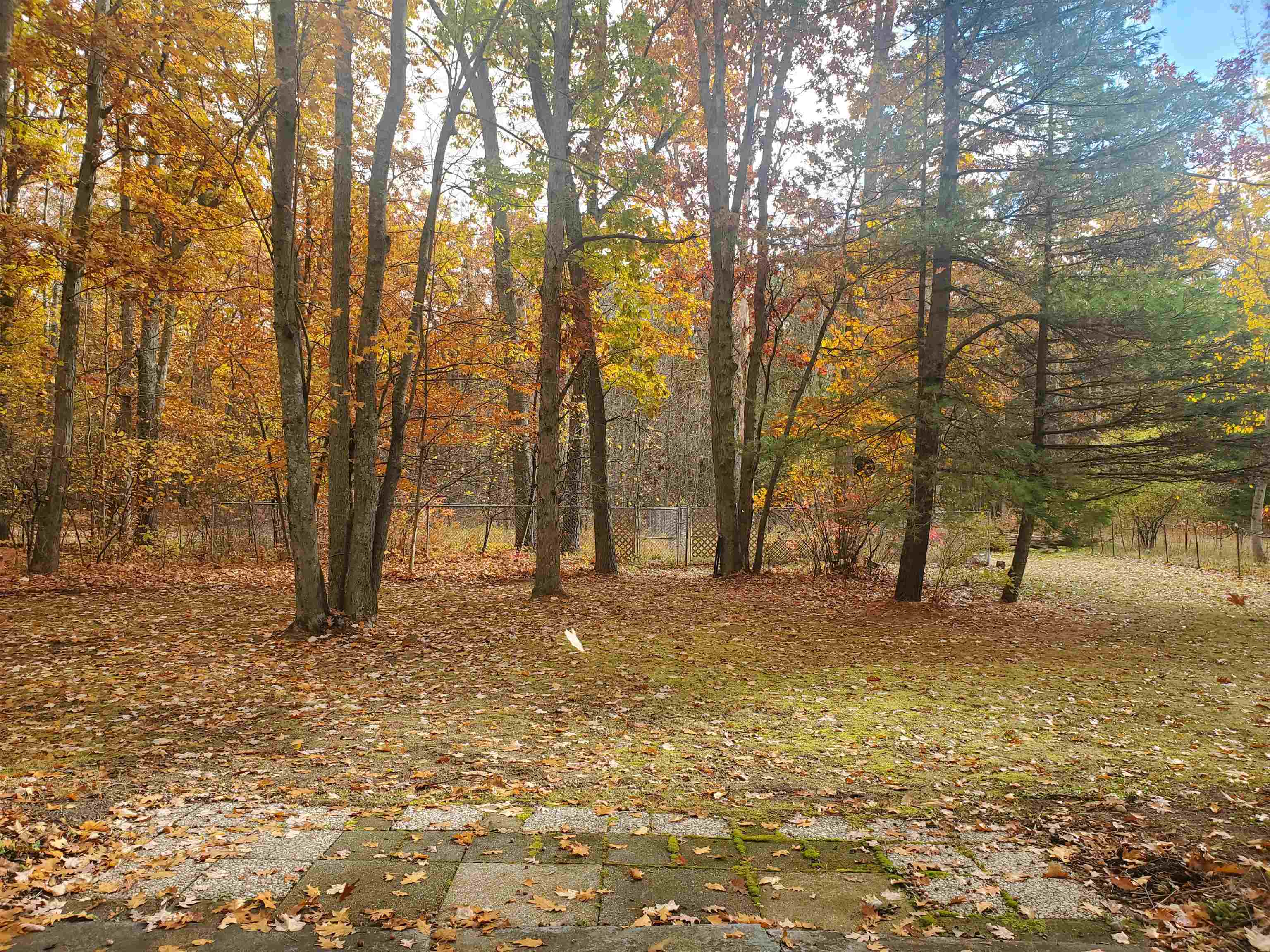 7323 Karlin Road Property Photo 25
