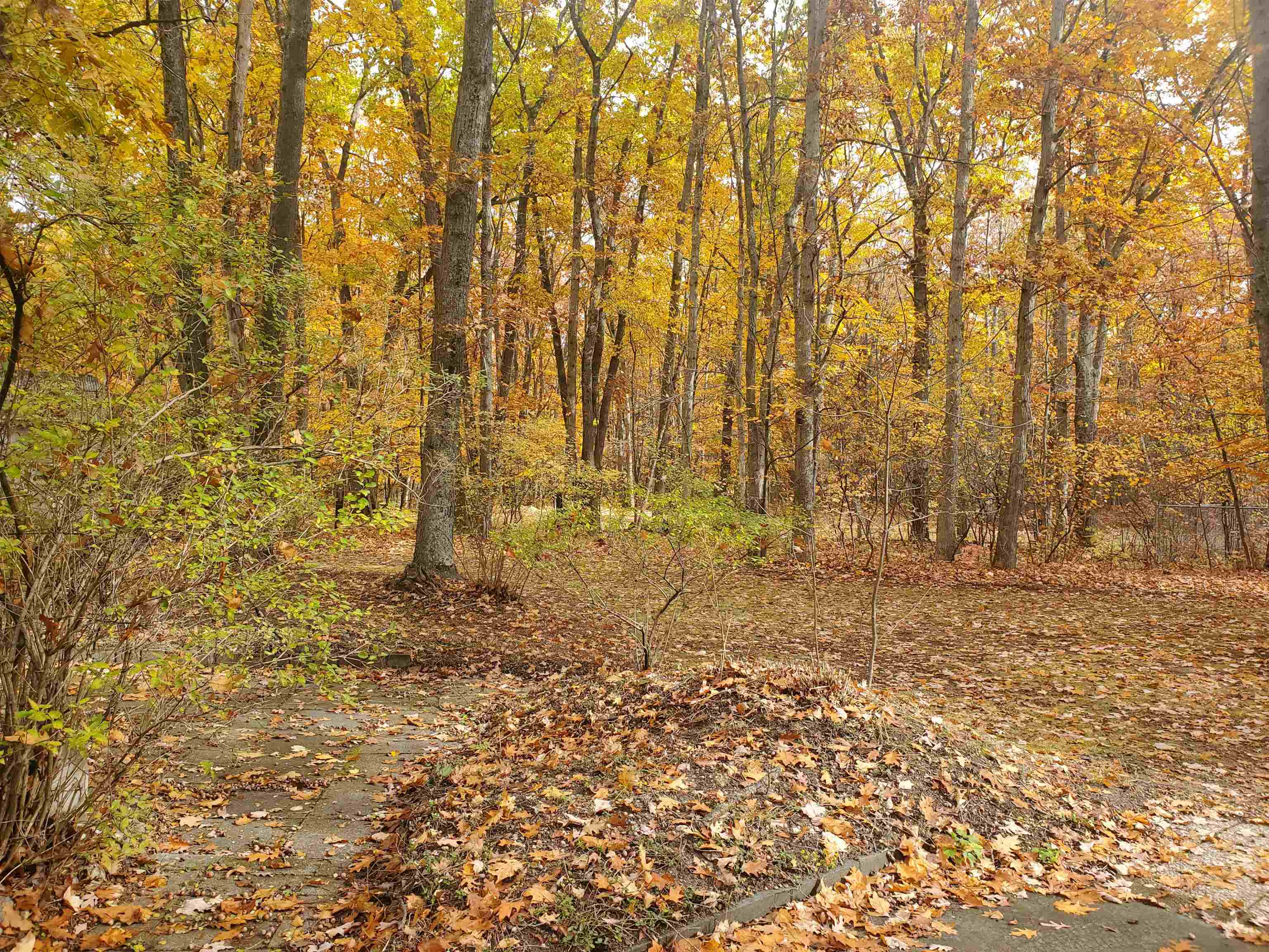 7323 Karlin Road Property Photo 26