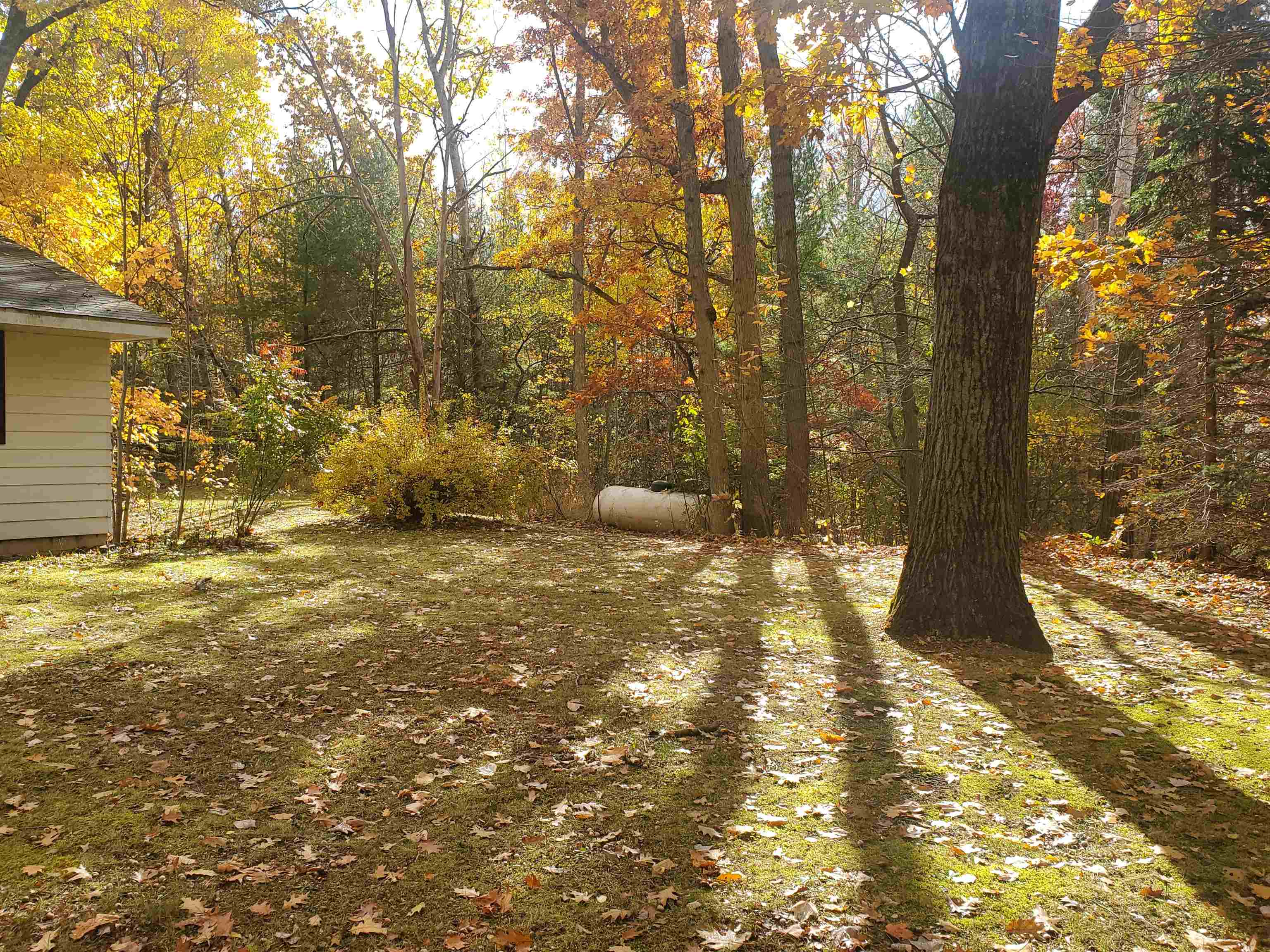 7323 Karlin Road Property Photo 30