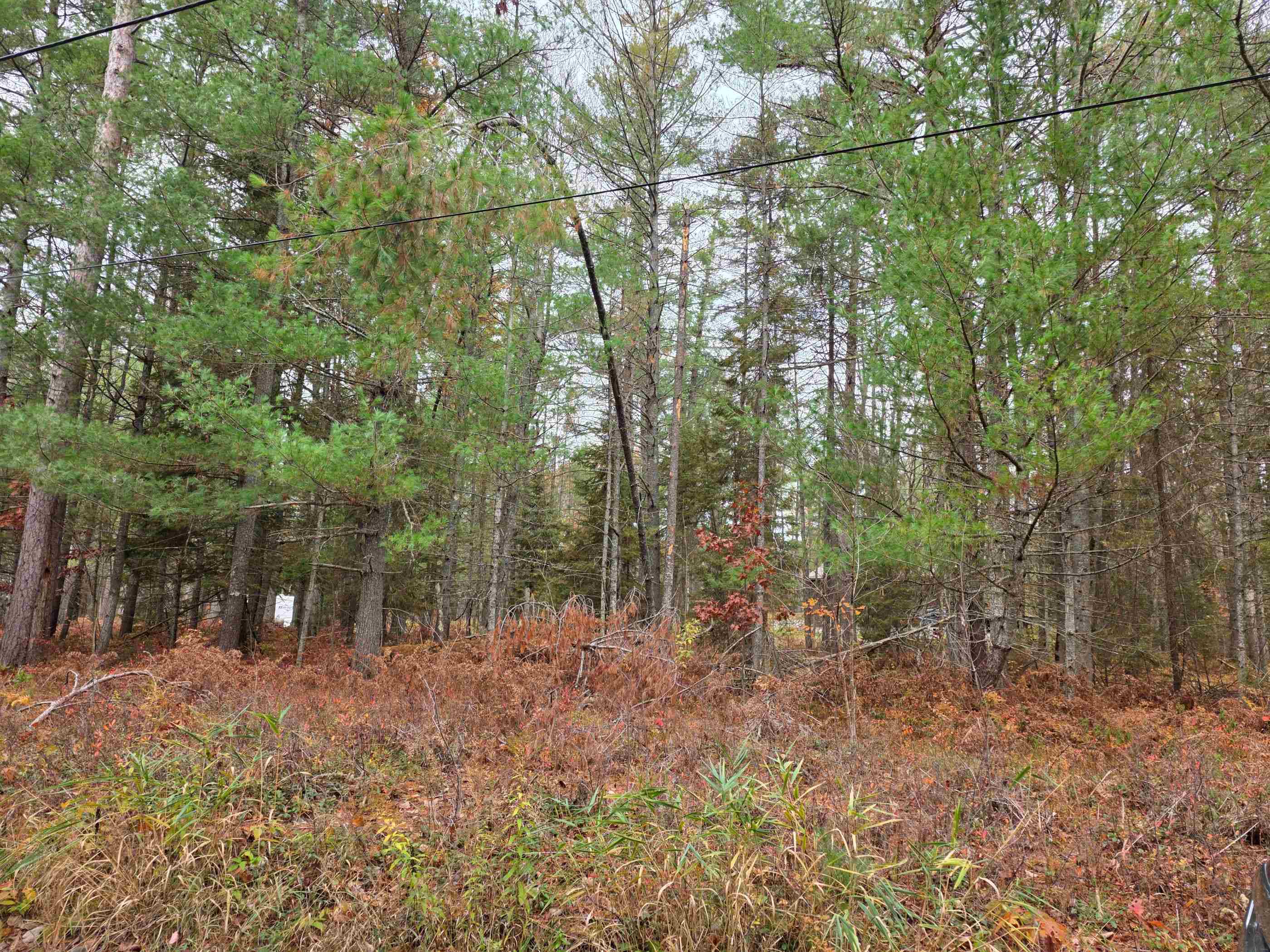 Battalion Boulevard Property Photo 2