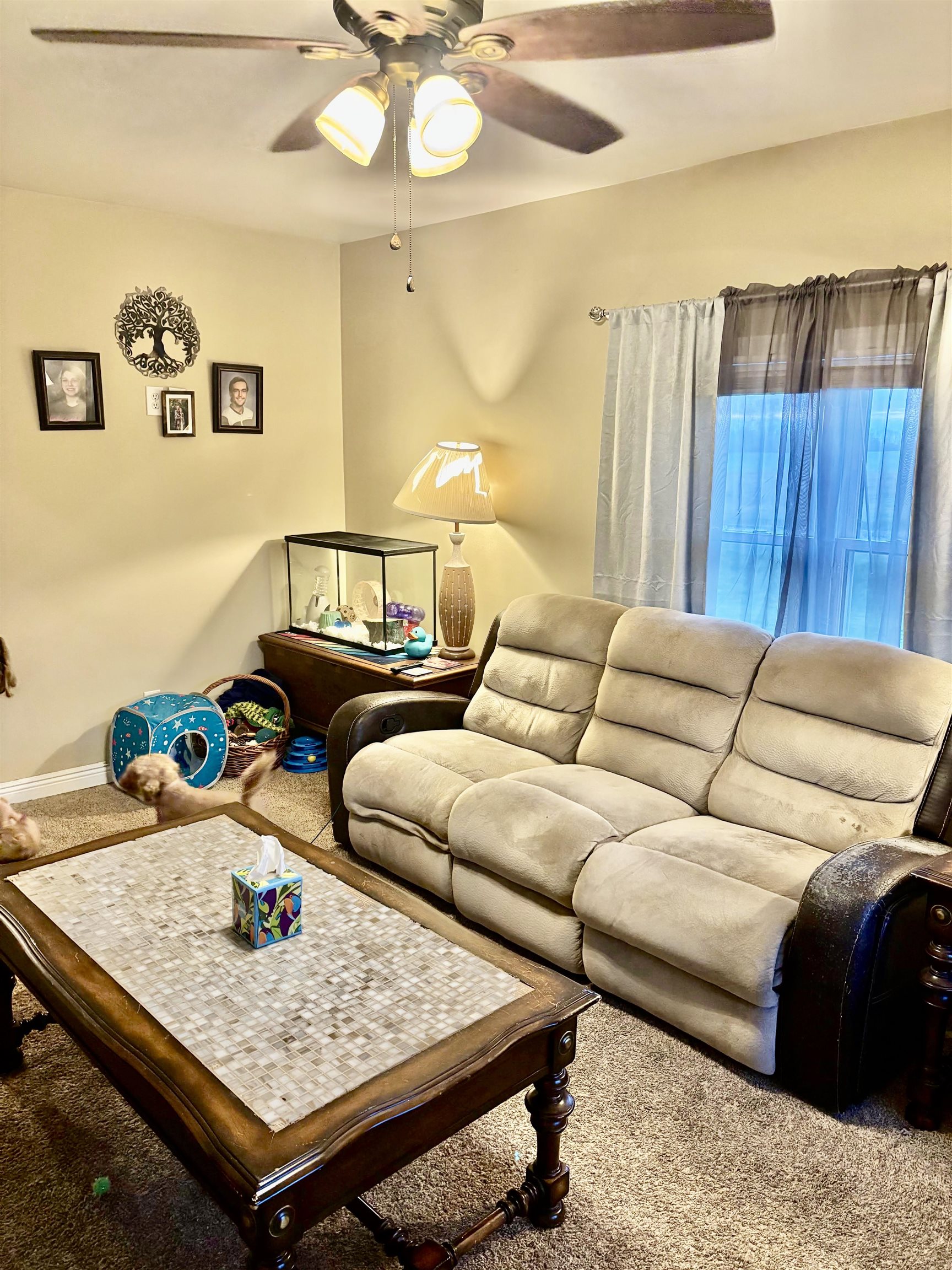 917 E River Property Photo 20