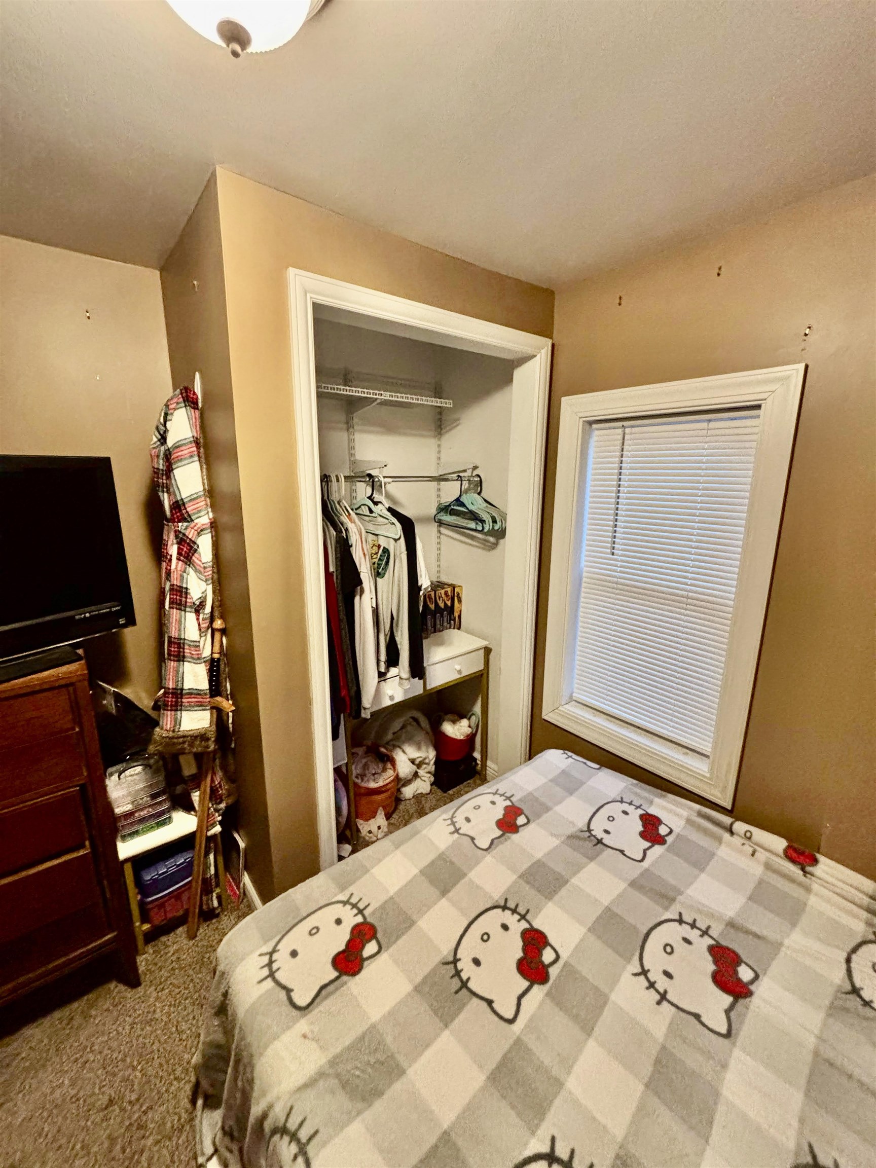 917 E River Property Photo 22