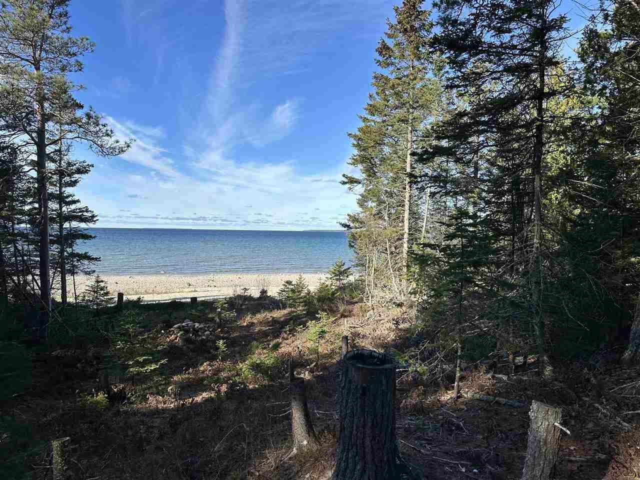 32010 Mrs Reddings Trail Property Photo 1