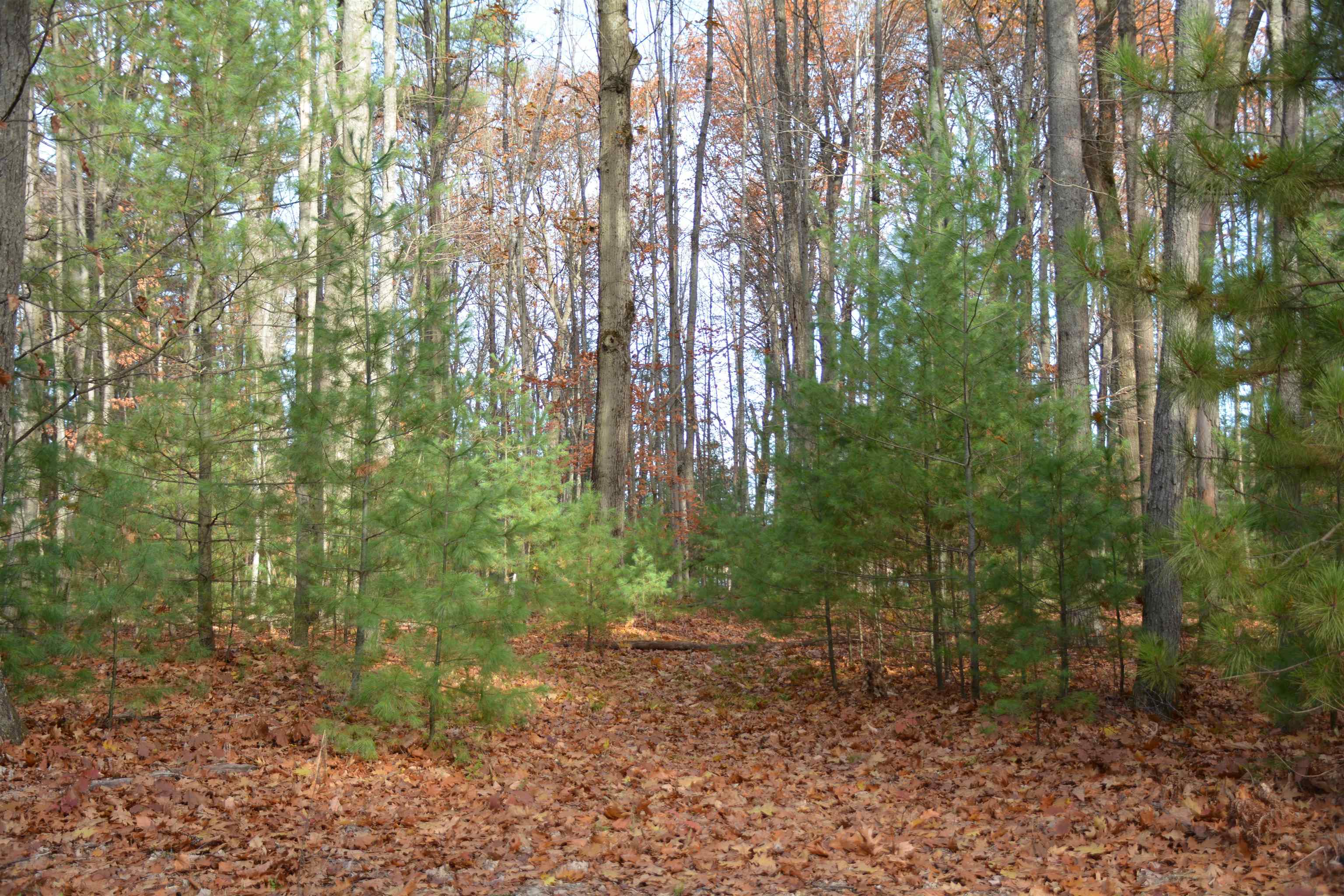 864 Se Blue Heron Drive Property Photo 12