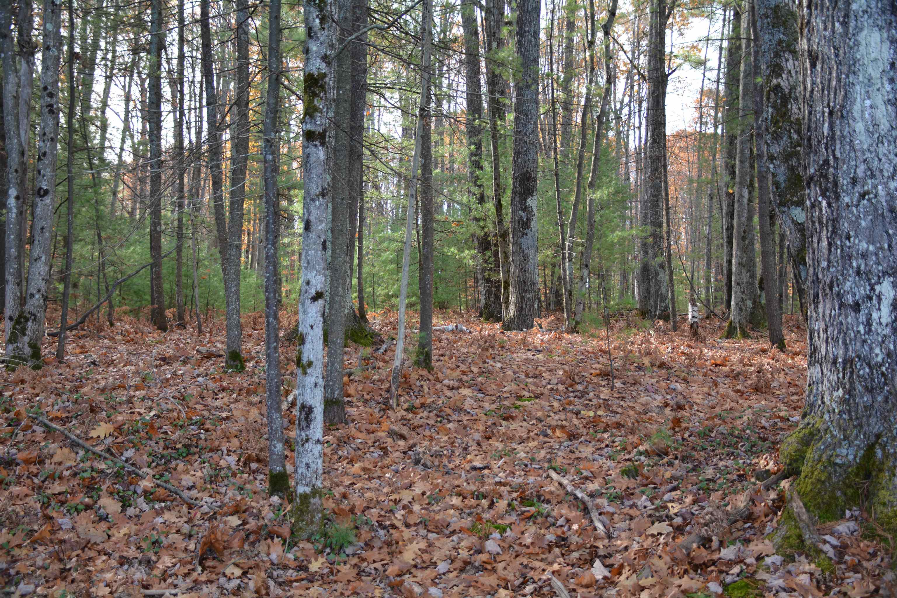 864 Se Blue Heron Drive Property Photo 16