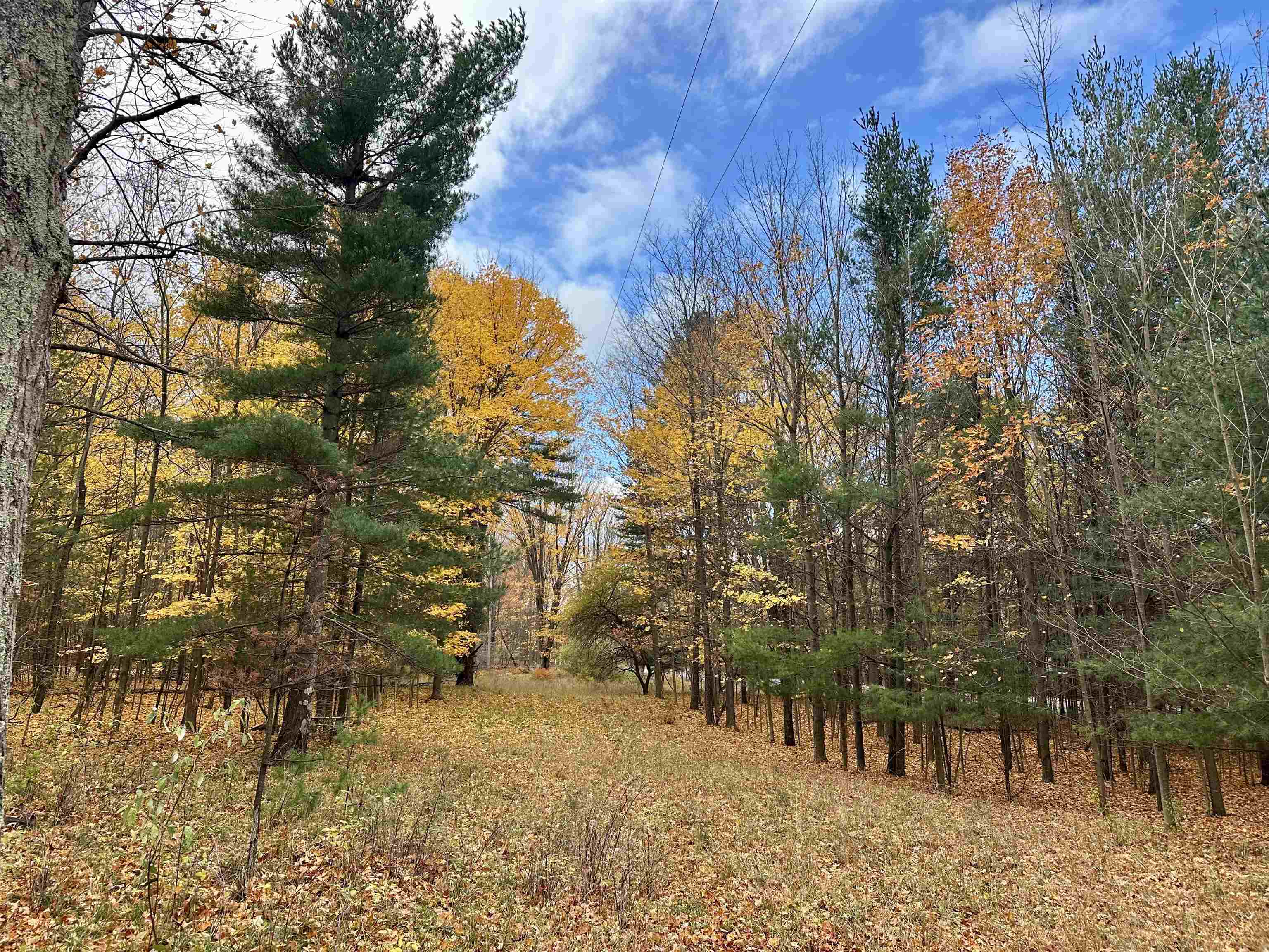 3.64 Acres W Front Street Property Photo 1