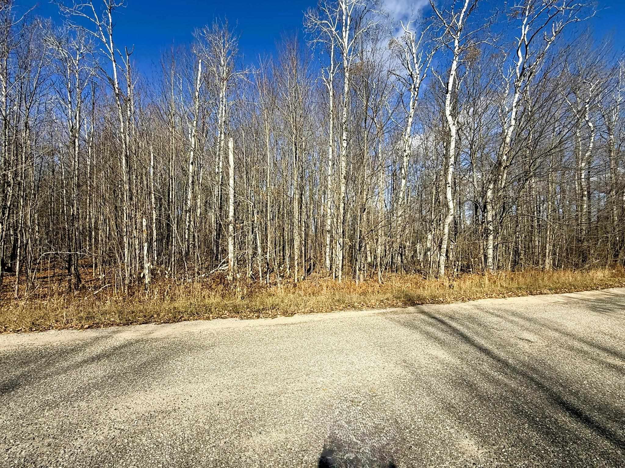 Lot 134 Wilderness Circle Property Photo 4