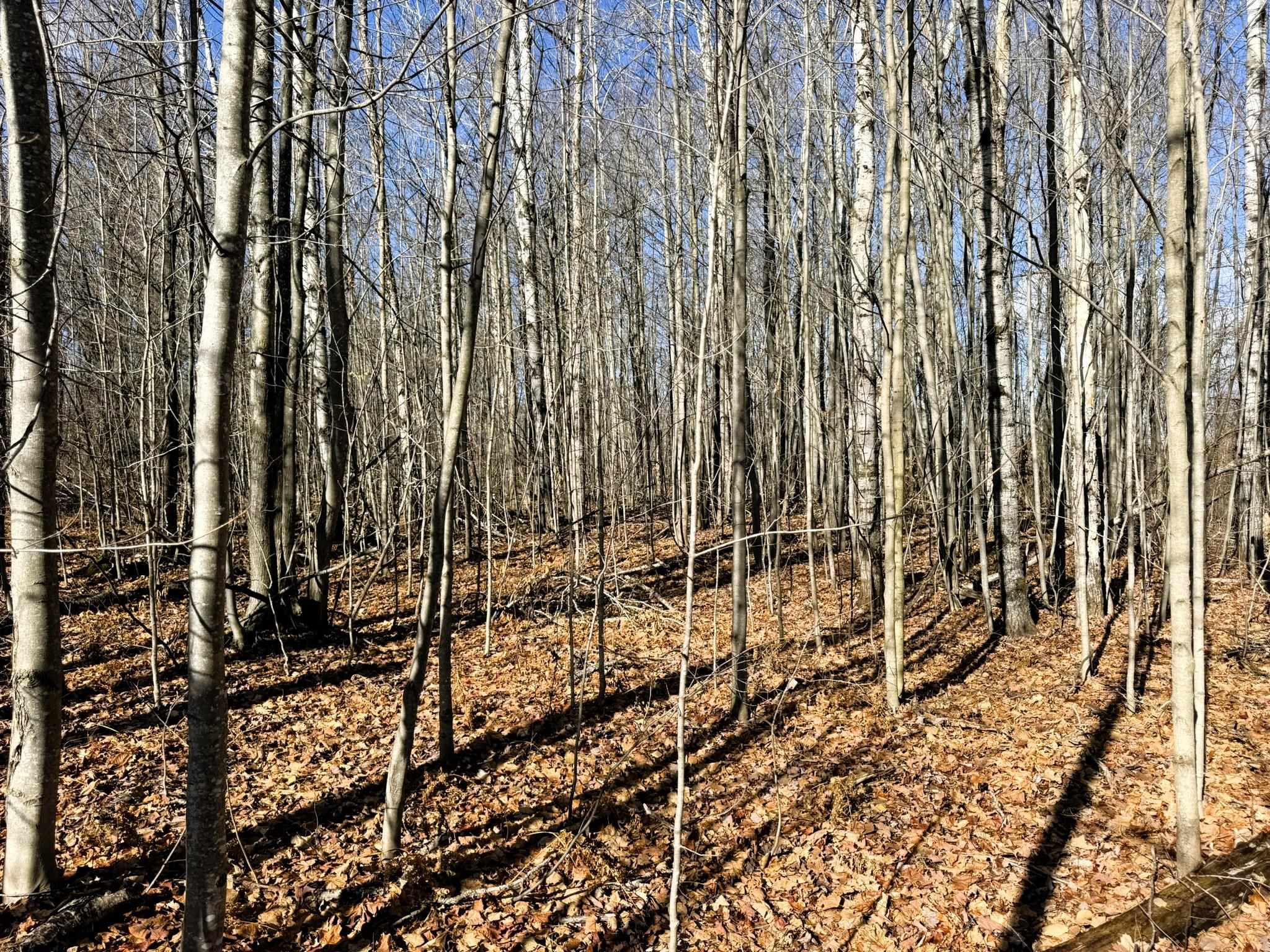 Lot 134 Wilderness Circle Property Photo 5