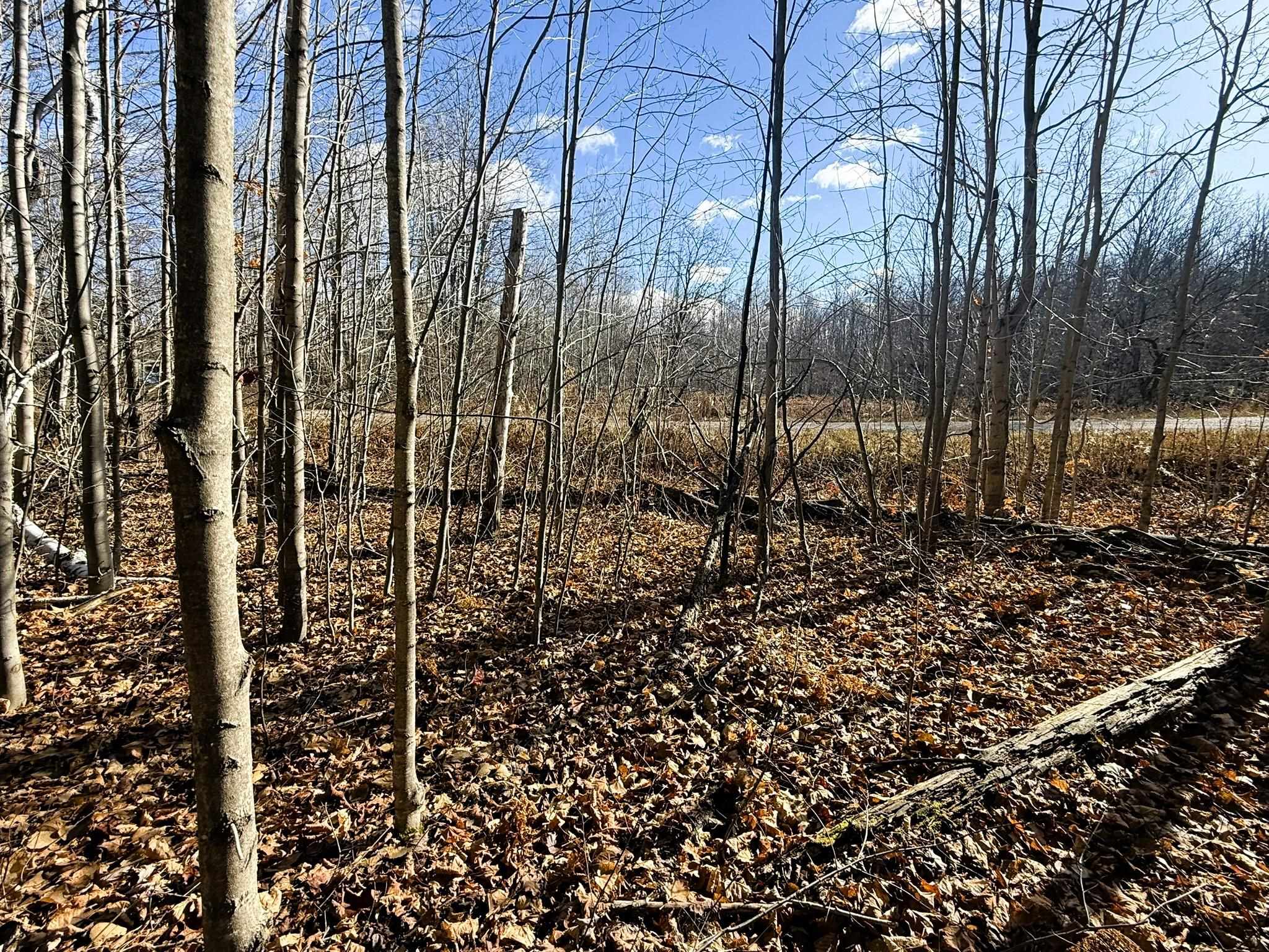 Lot 134 Wilderness Circle Property Photo 7