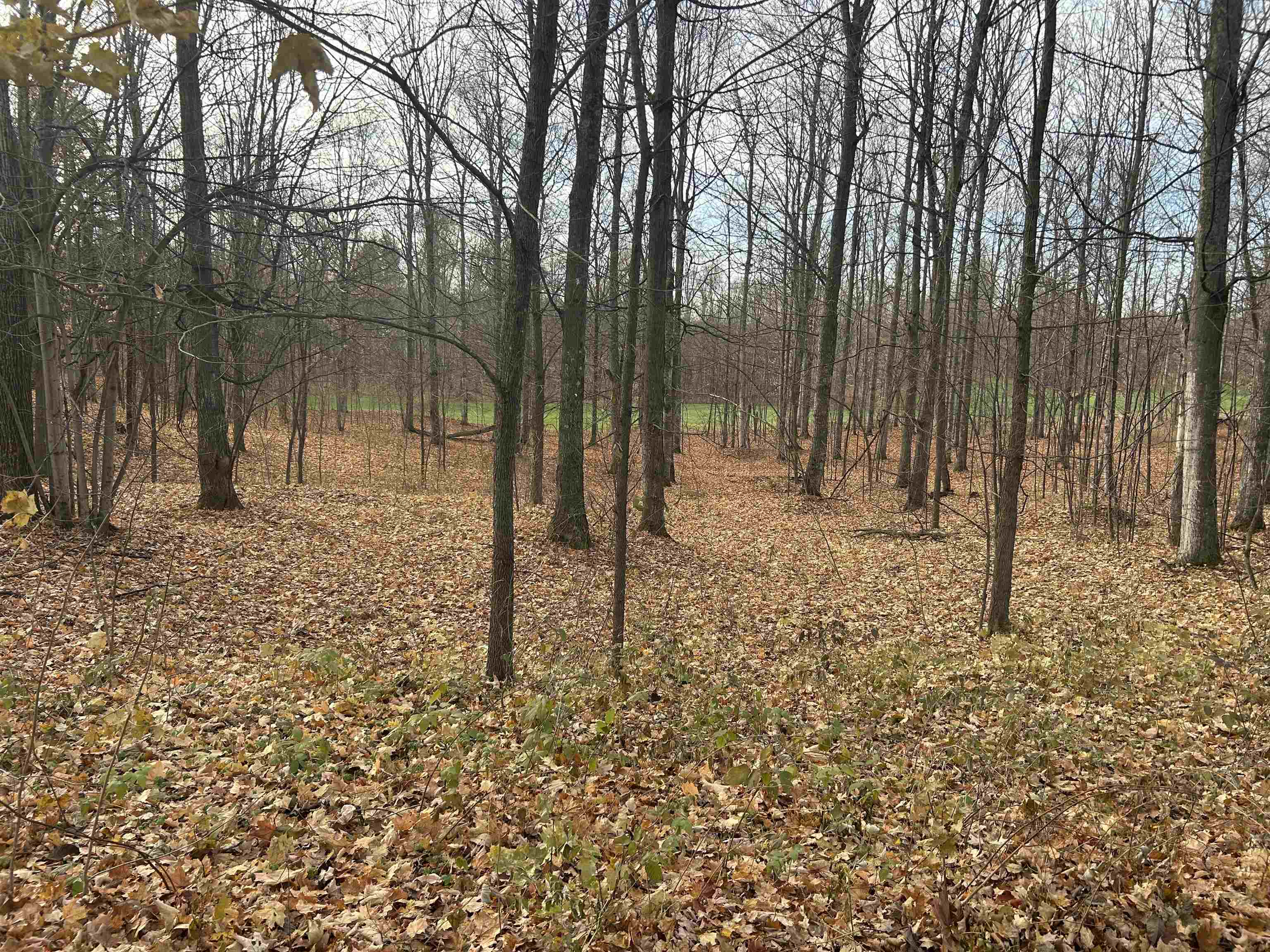 Lot 7 White Tail Drive Property Photo 1
