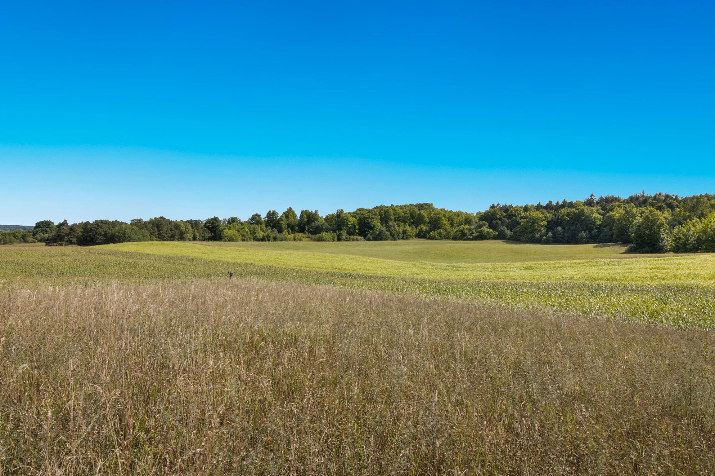 Parcel B E Duck Lake Road Property Photo 14