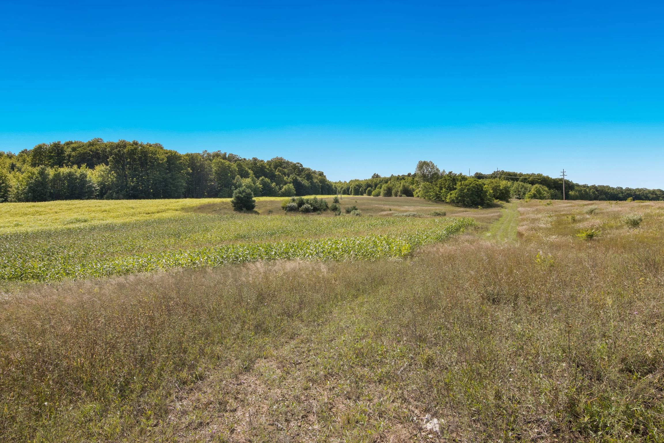 Parcel B E Duck Lake Road Property Photo 16