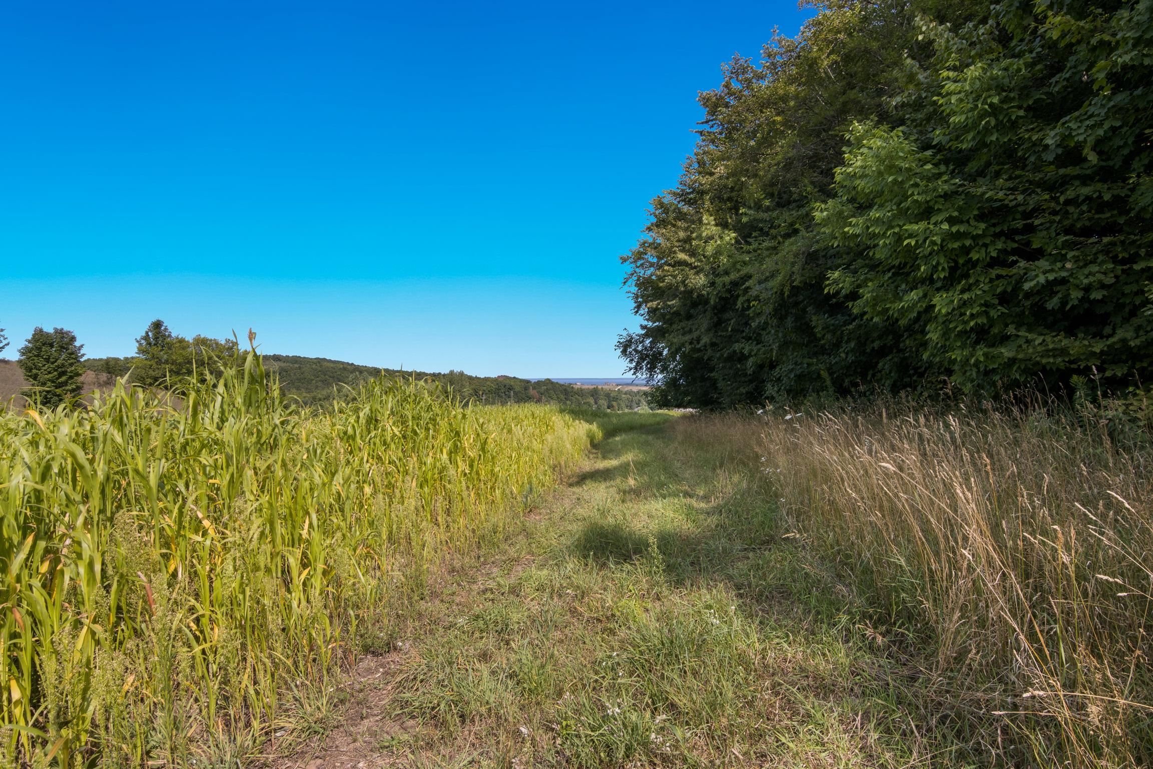 Parcel B E Duck Lake Road Property Photo 18