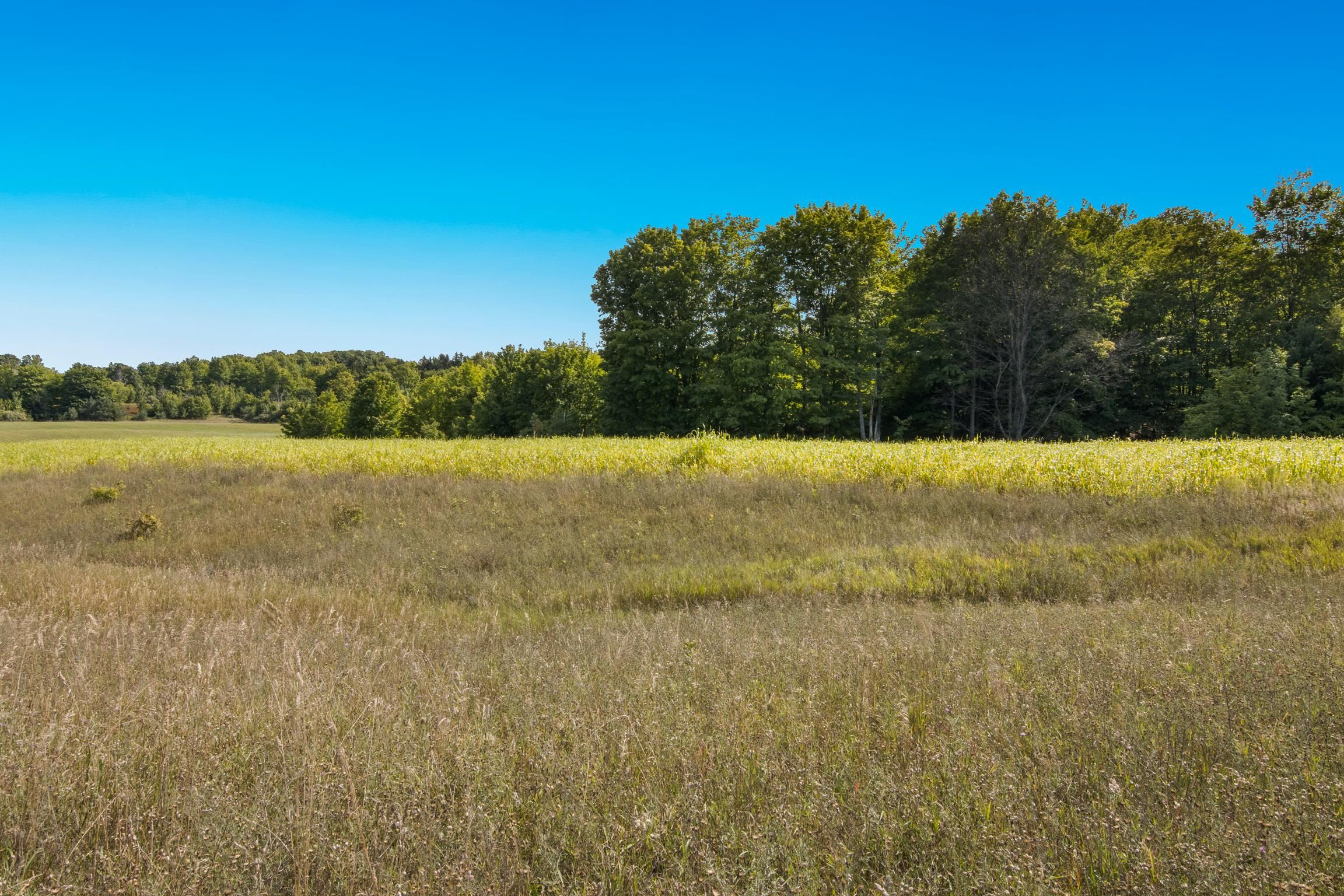 Parcel B E Duck Lake Road Property Photo 19