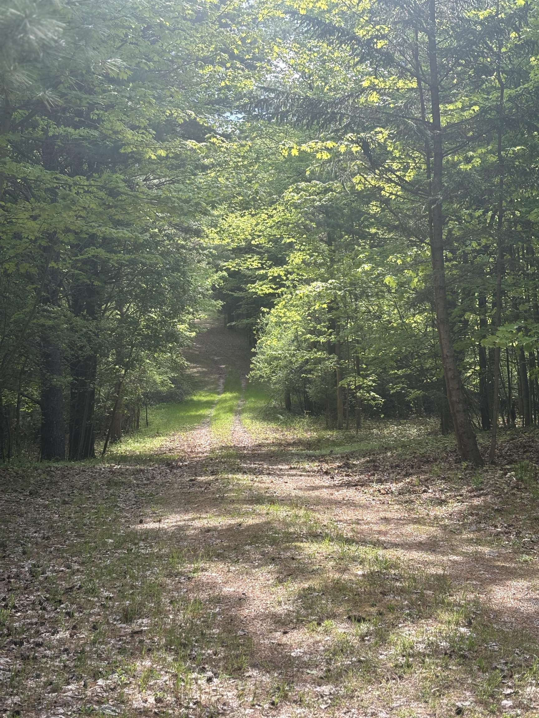 0000 Us-31 Property Photo 11