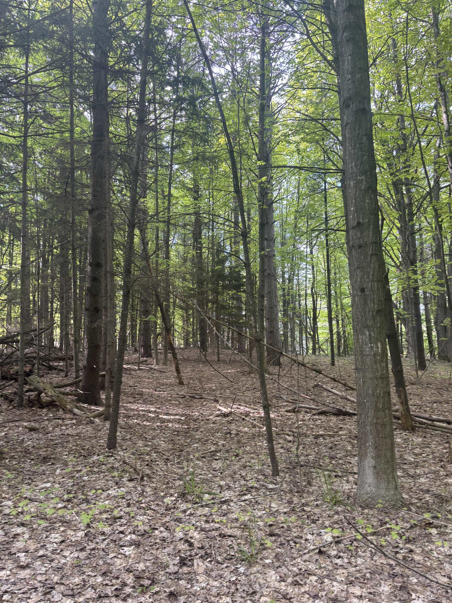 0000 Us-31 Property Photo 17