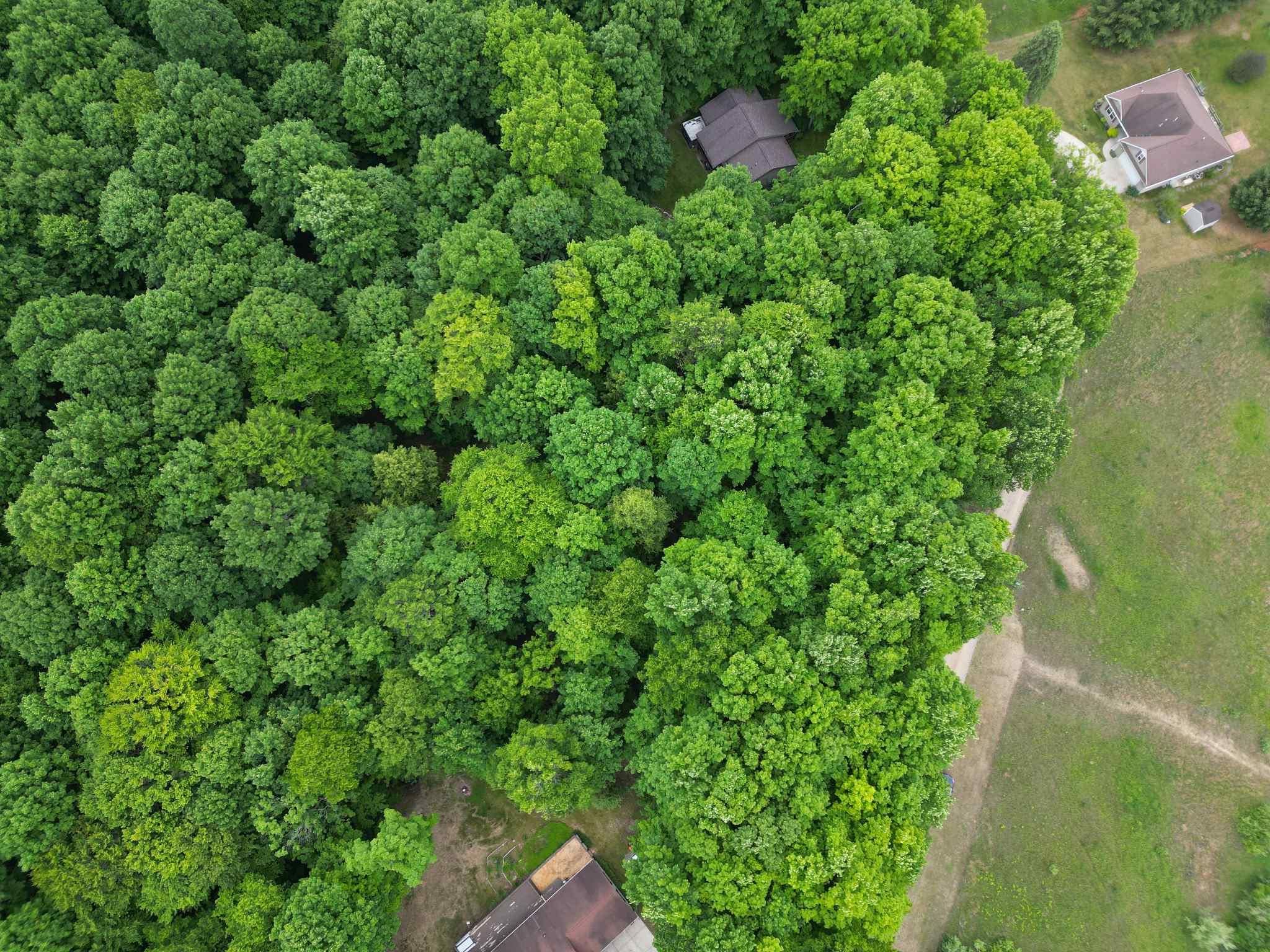Tbd Juniper Drive Property Photo 5