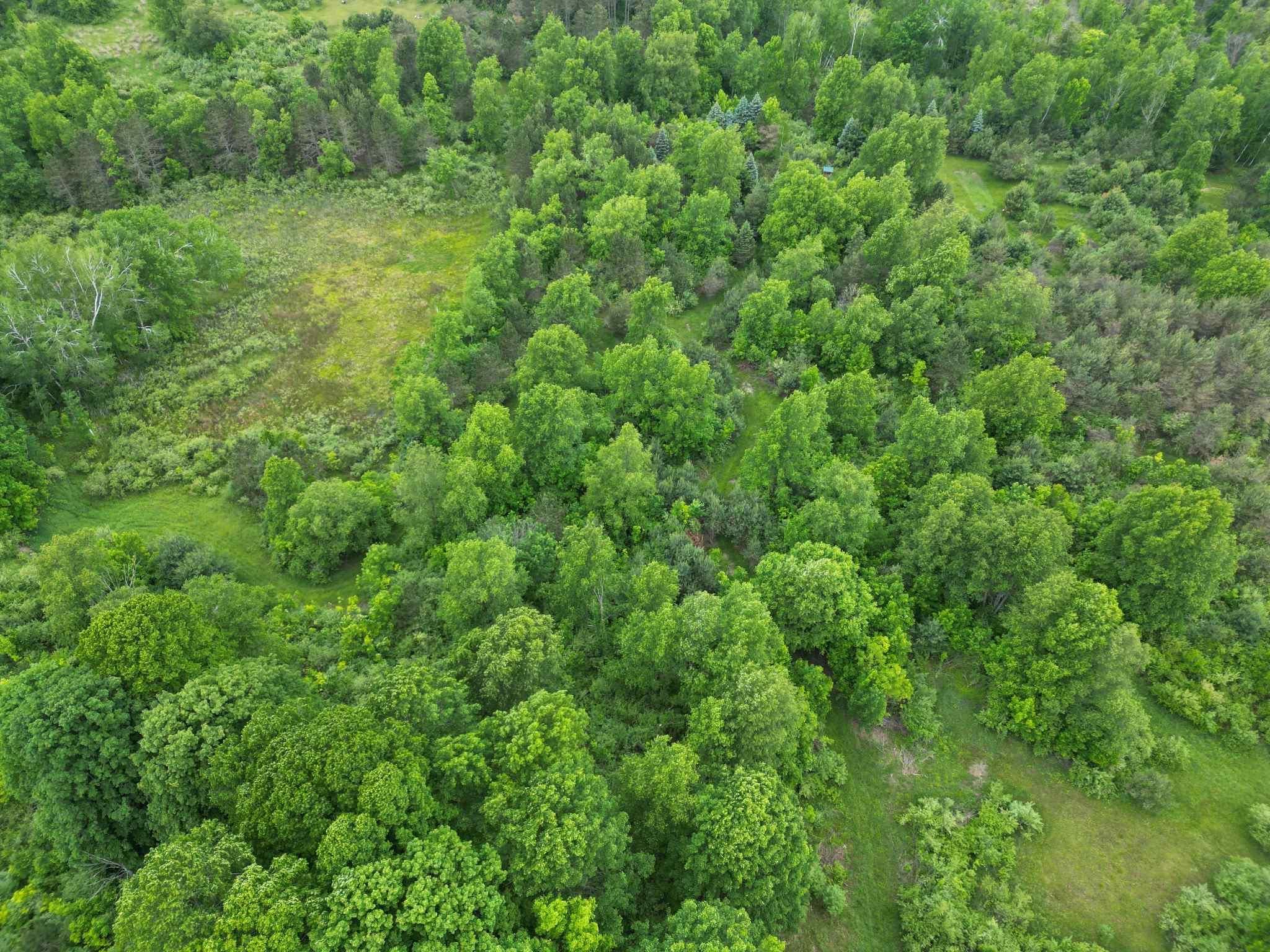Tbd Juniper Drive Property Photo 6