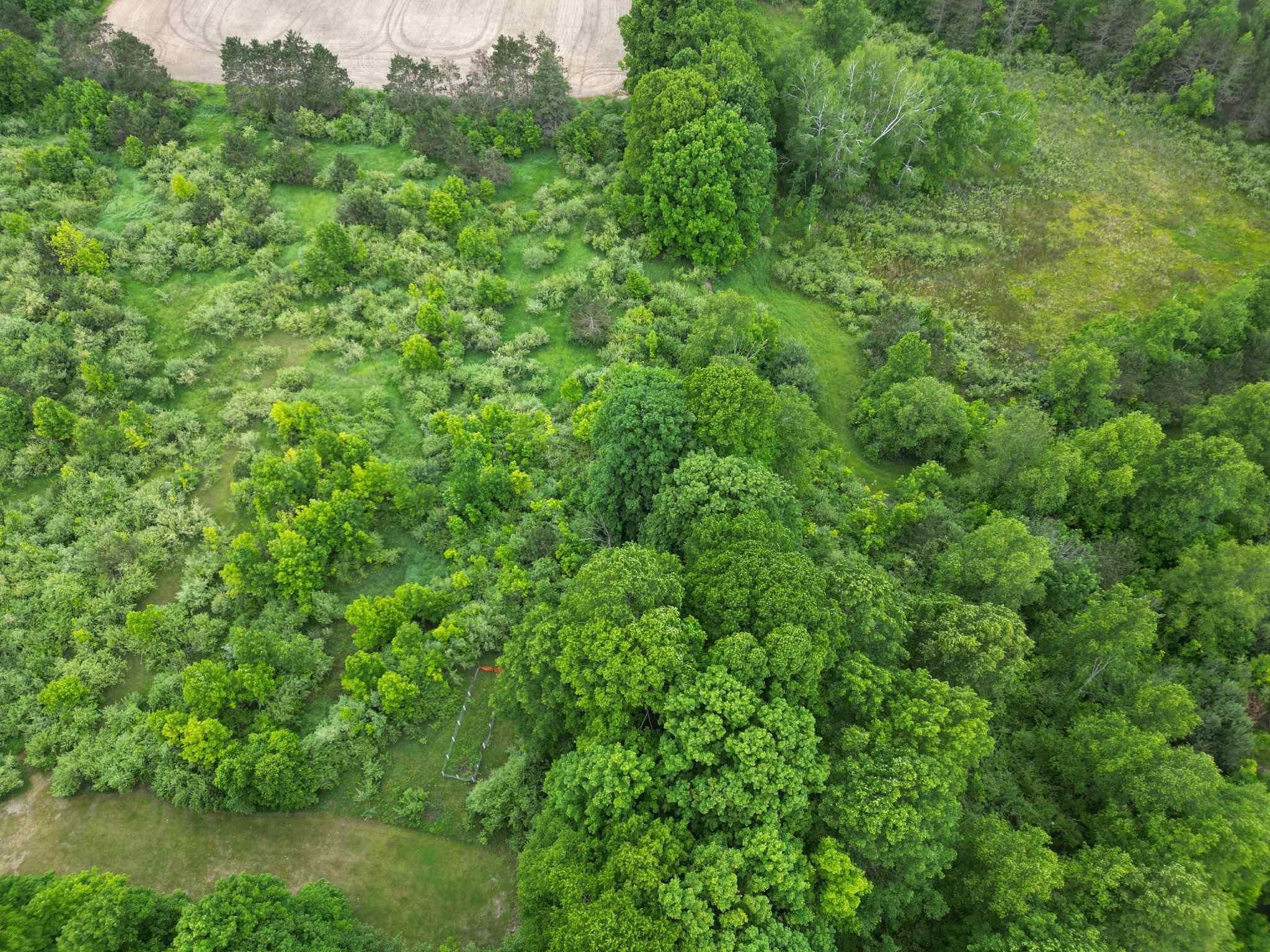 Tbd Juniper Drive Property Photo 2