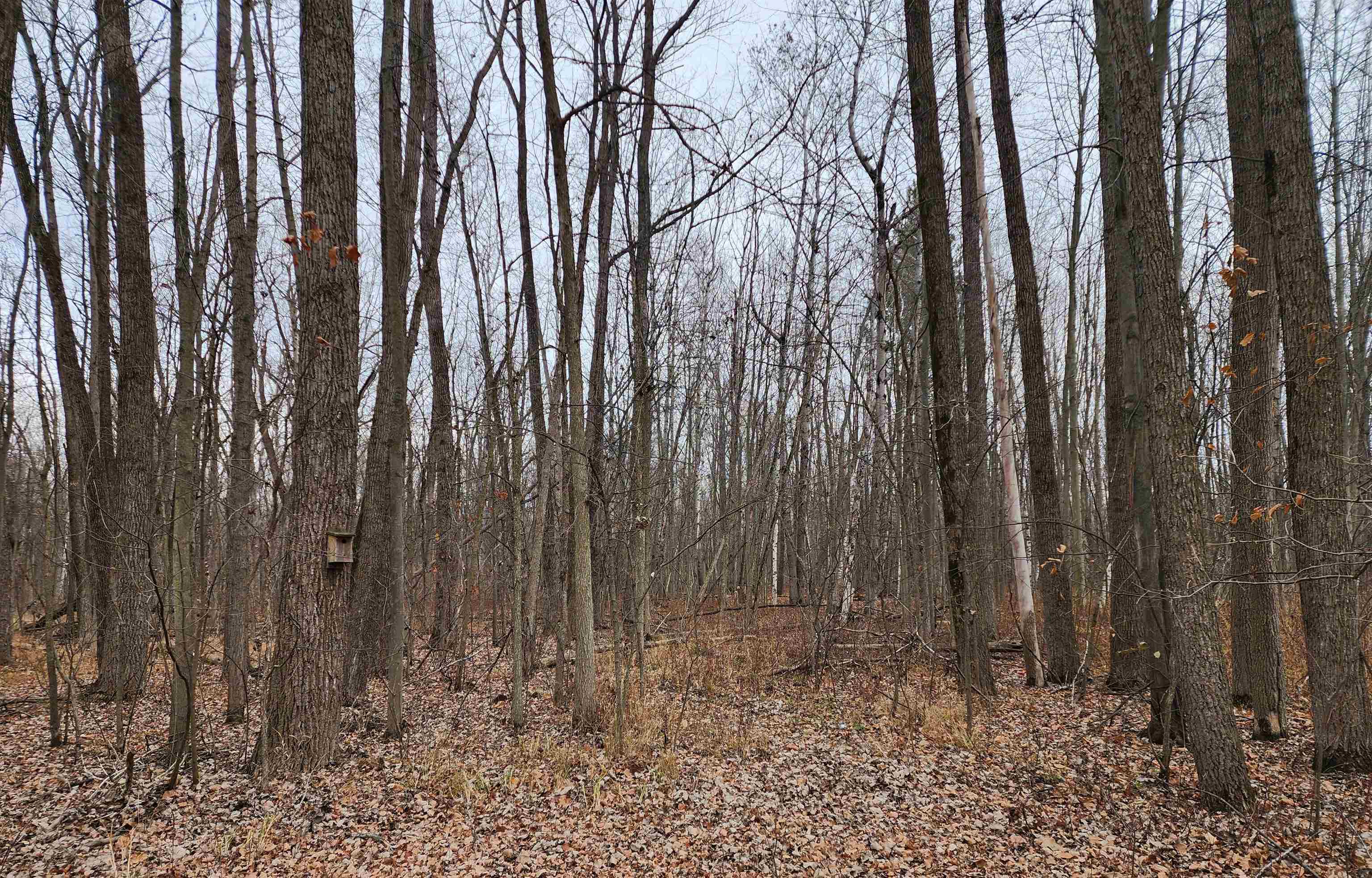 3400 N Sturgeon Road Property Photo 12