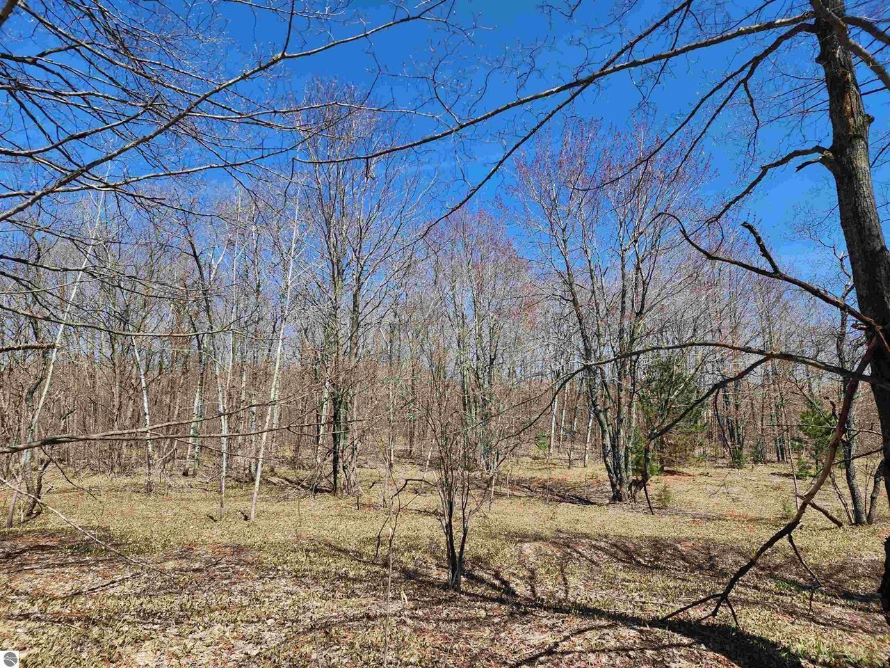 Vl Wilamont Circle Property Photo 4