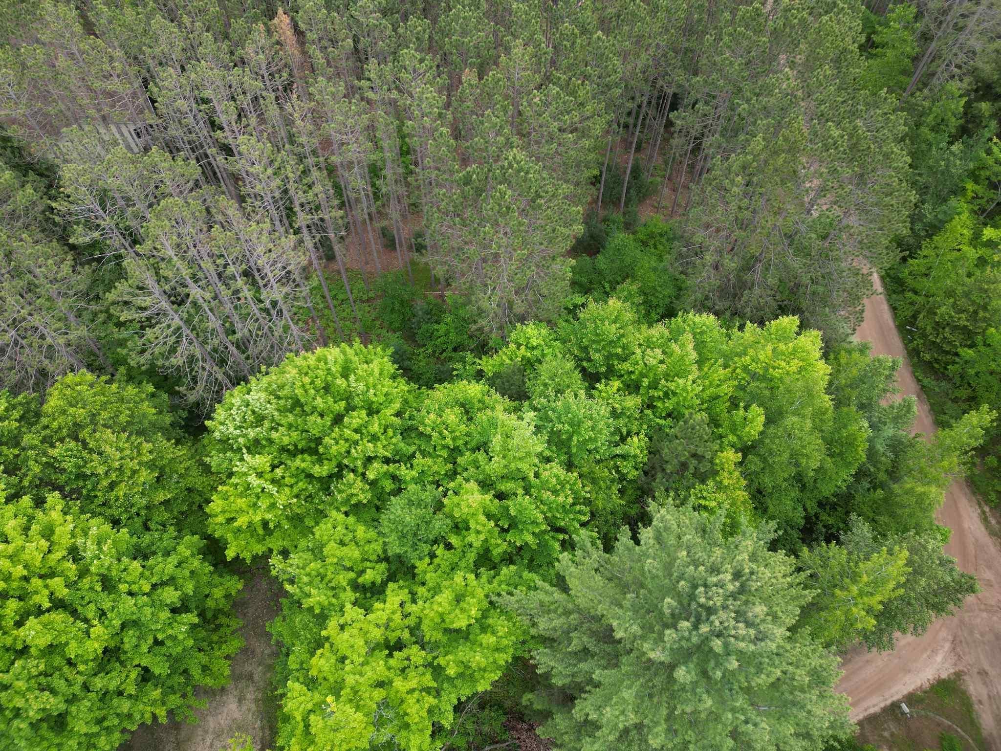 Tbd Wintergreen Property Photo 3
