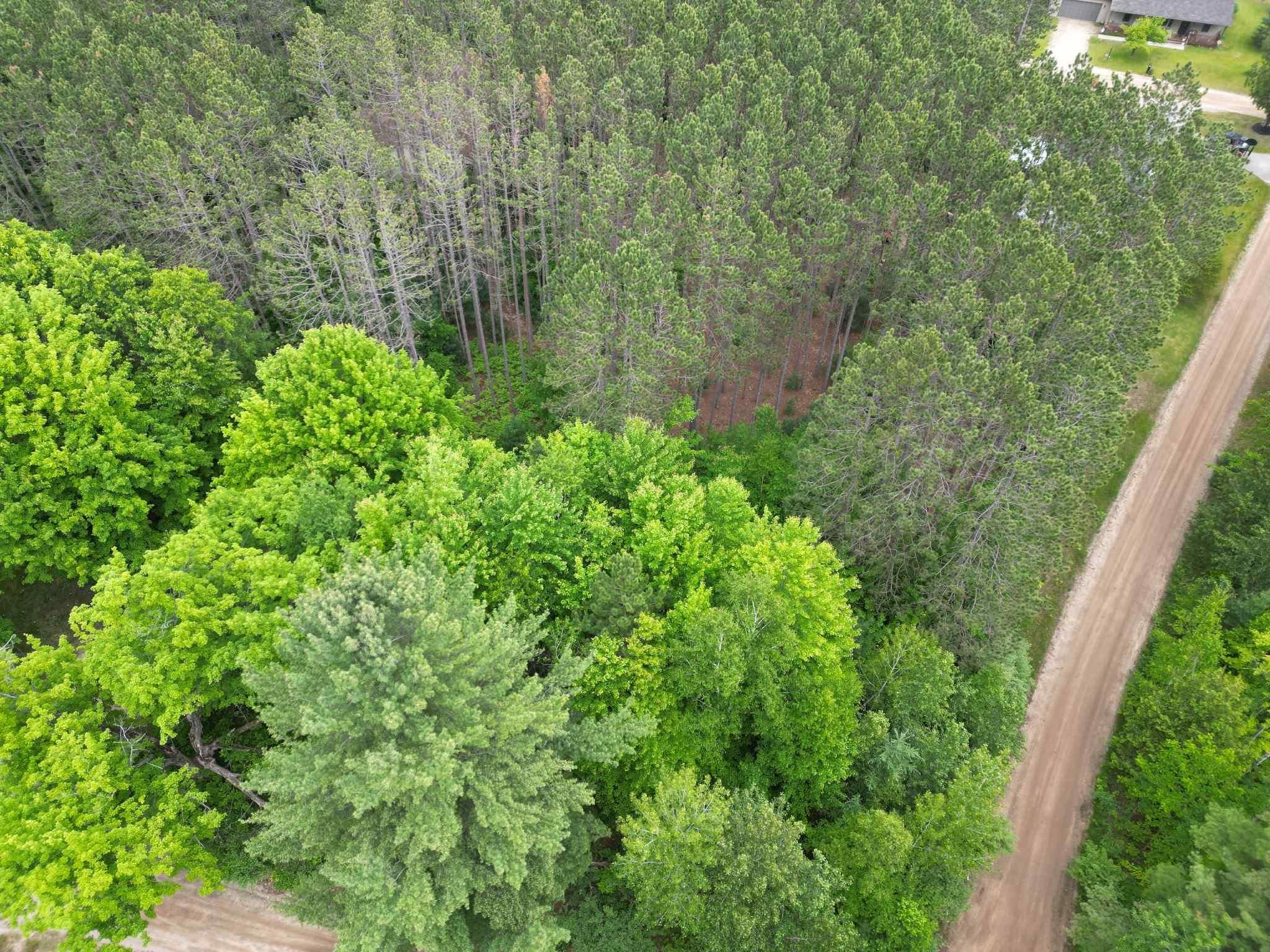 Tbd Wintergreen Property Photo 4