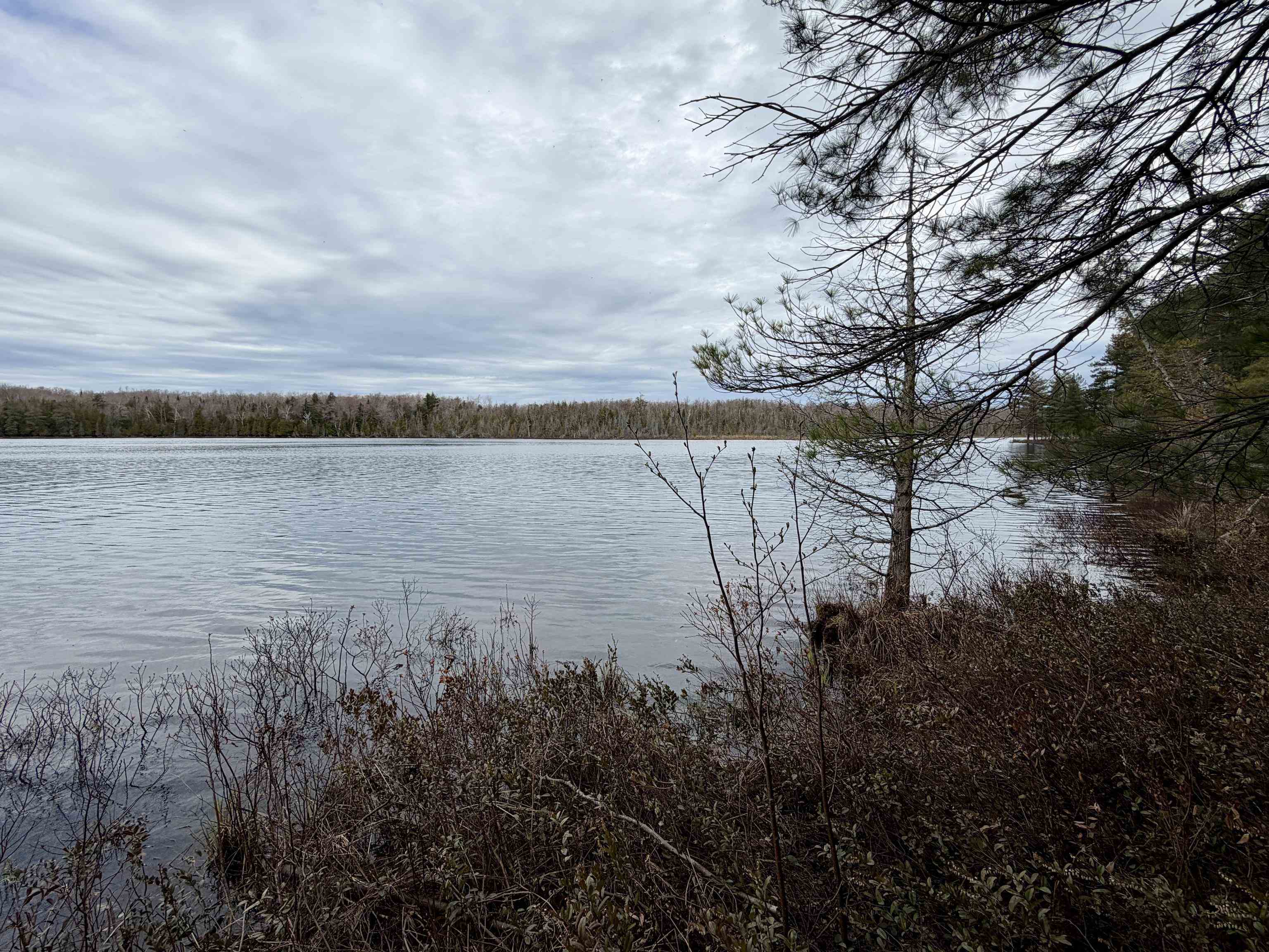Tbd Whitetail Trail Property Photo 2