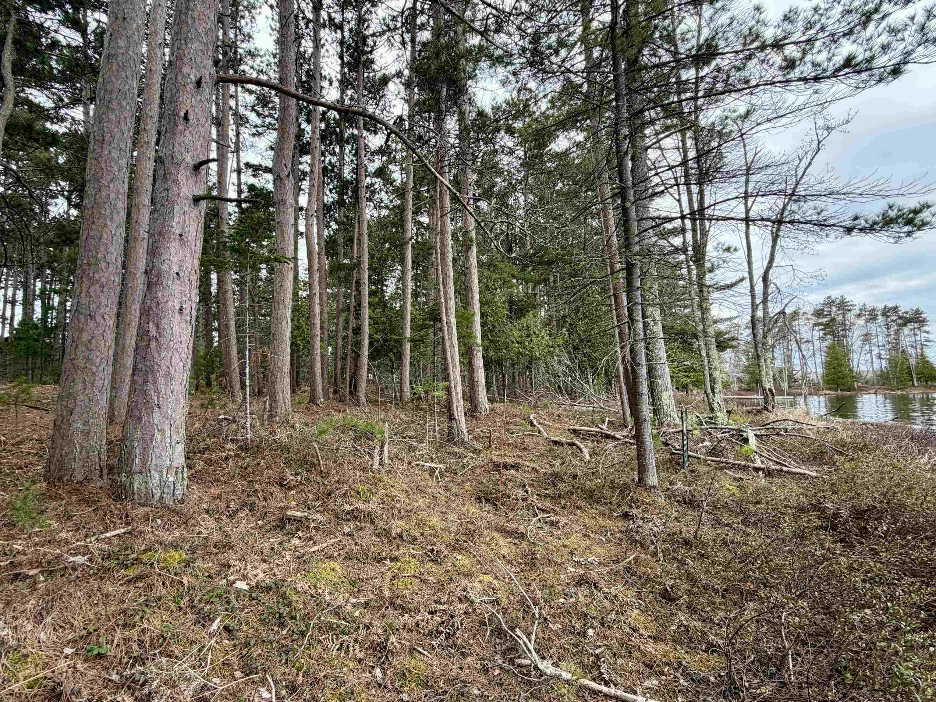 Tbd Whitetail Trail Property Photo 3