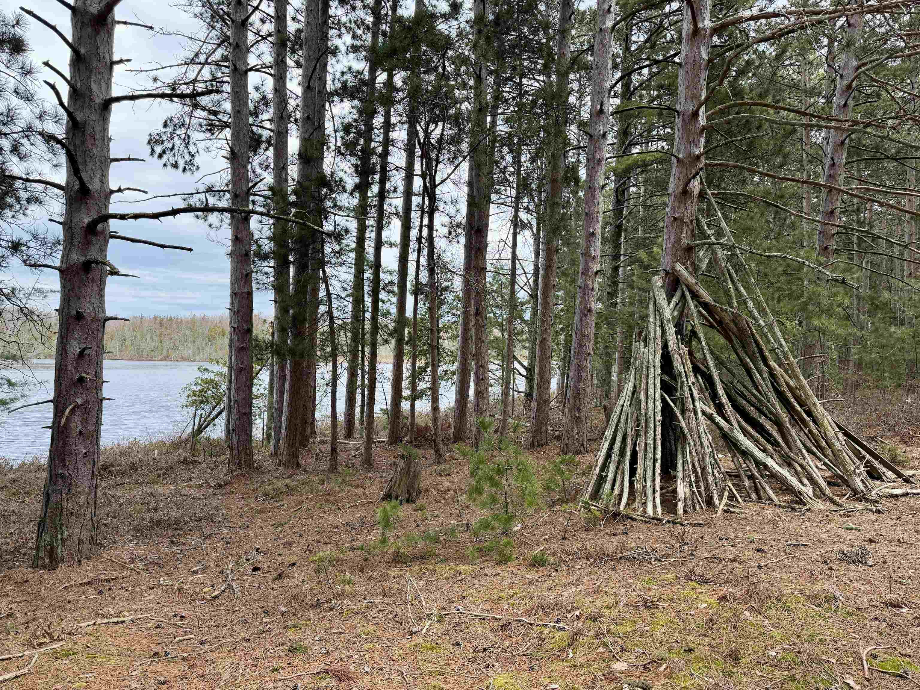 Tbd Whitetail Trail Property Photo 4