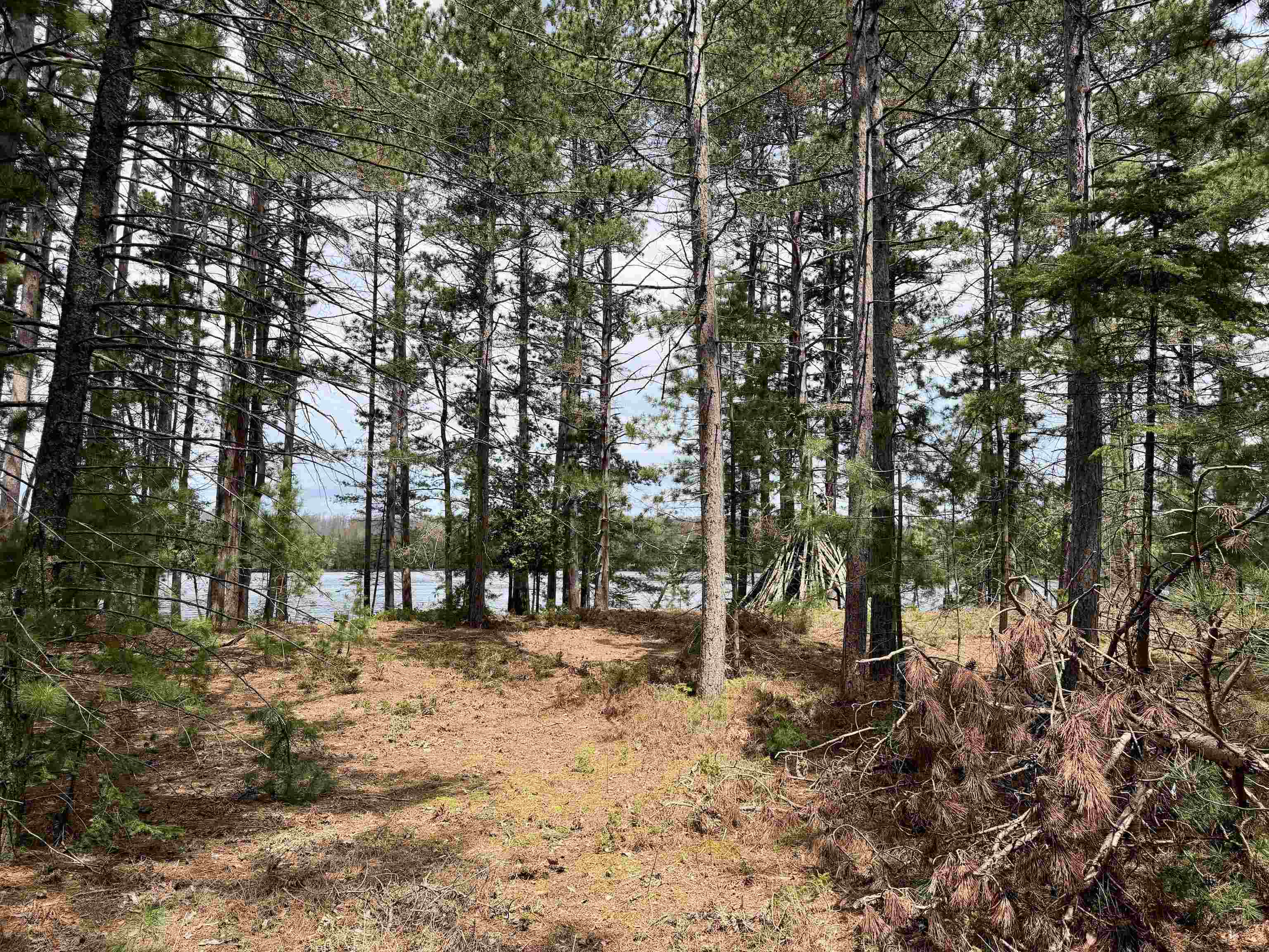 Tbd Whitetail Trail Property Photo 5