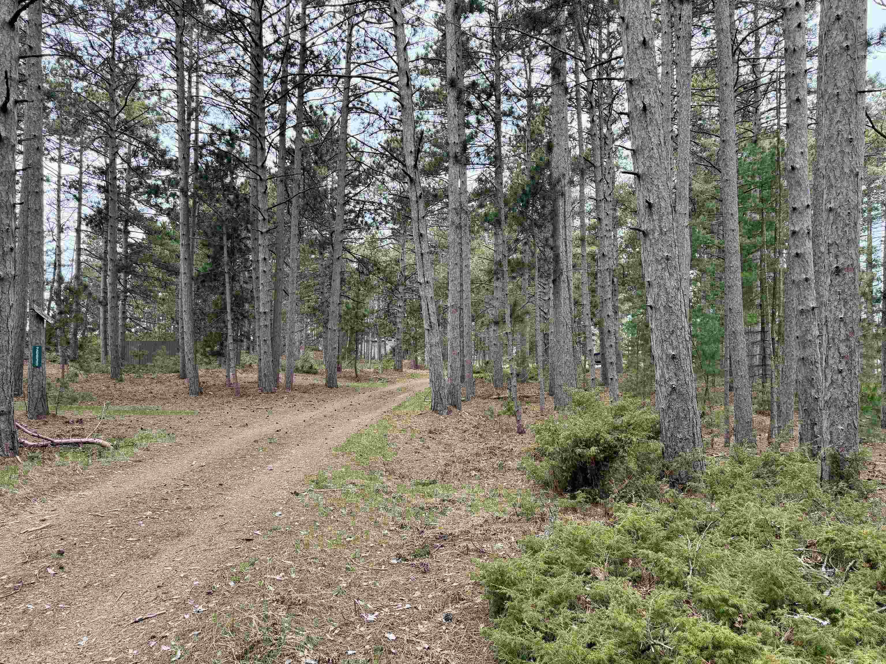 Tbd Whitetail Trail Property Photo 6
