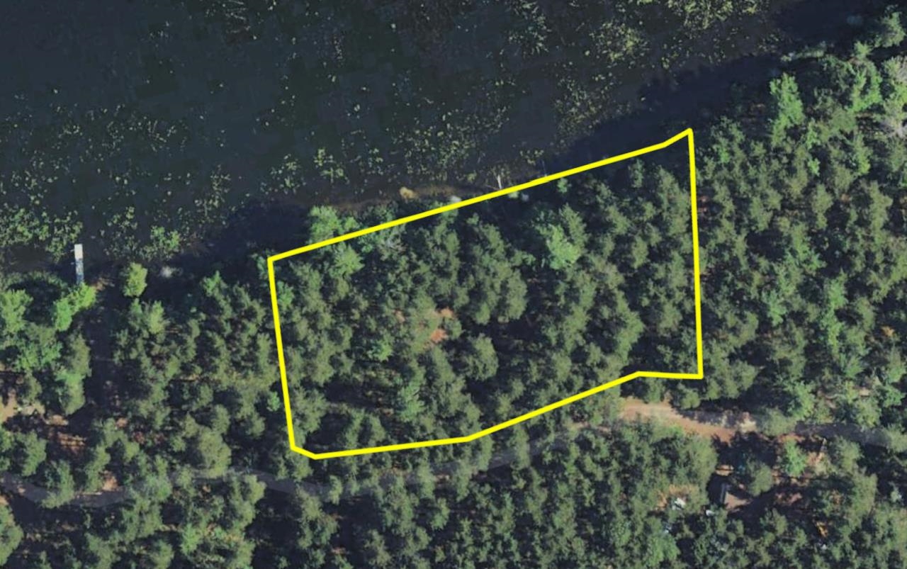 Tbd Whitetail Trail Property Photo 13