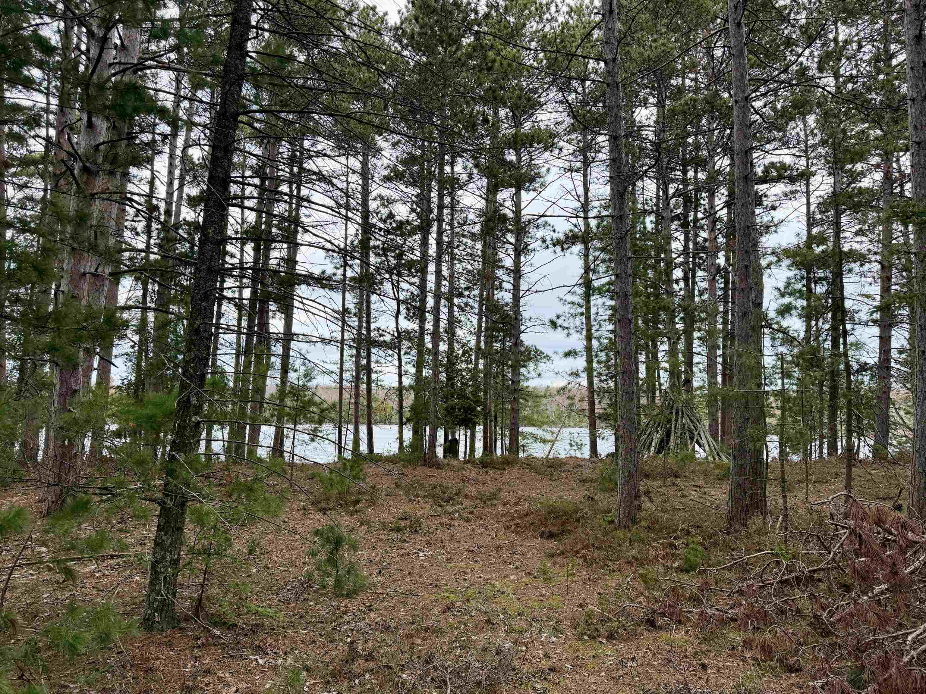Tbd Whitetail Trail Property Photo 15