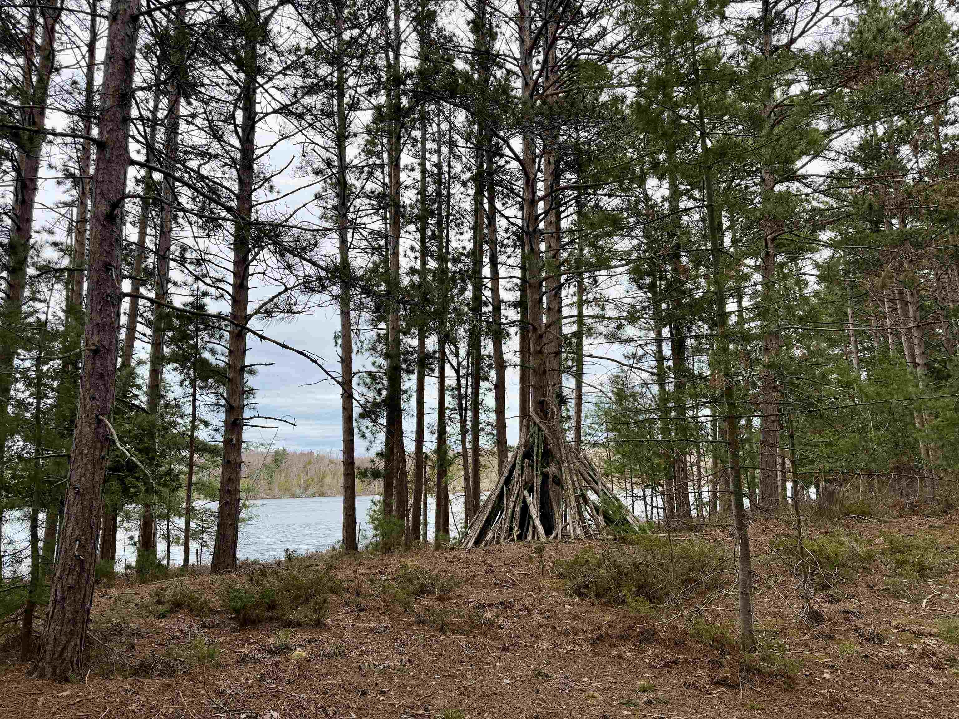 Tbd Whitetail Trail Property Photo 16