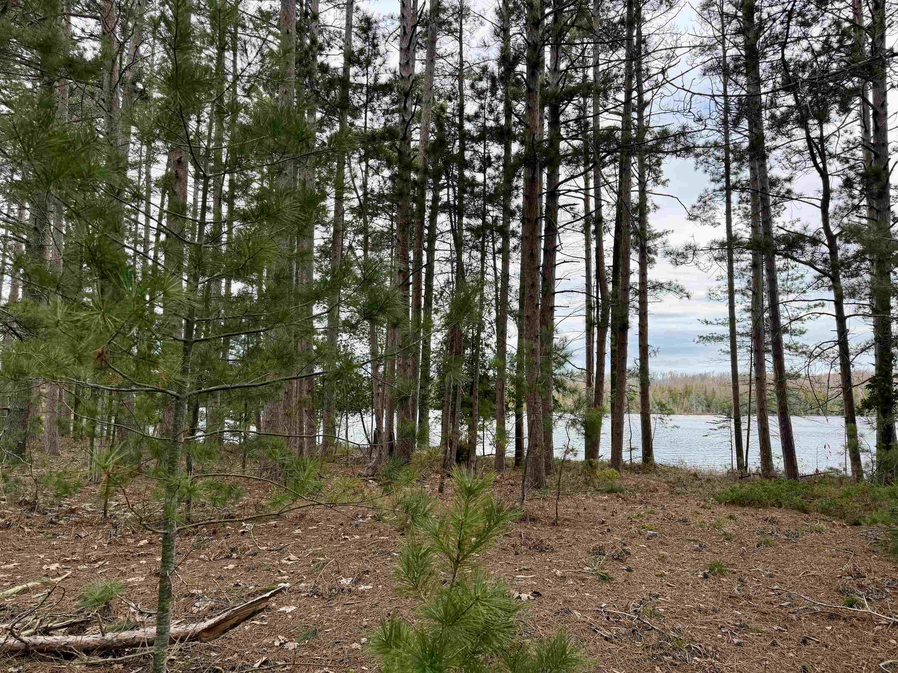 Tbd Whitetail Trail Property Photo 17