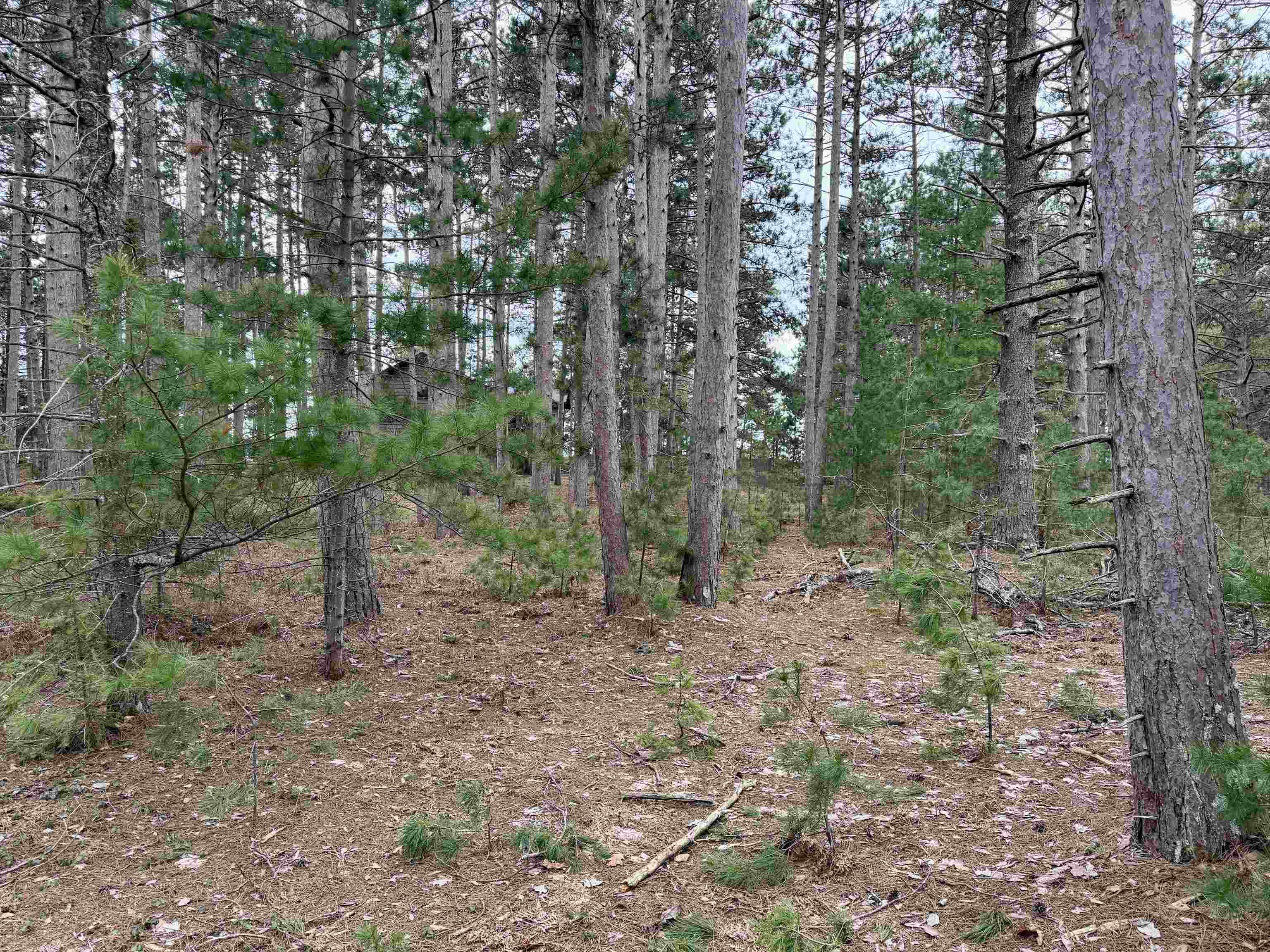 Tbd Whitetail Trail Property Photo 18