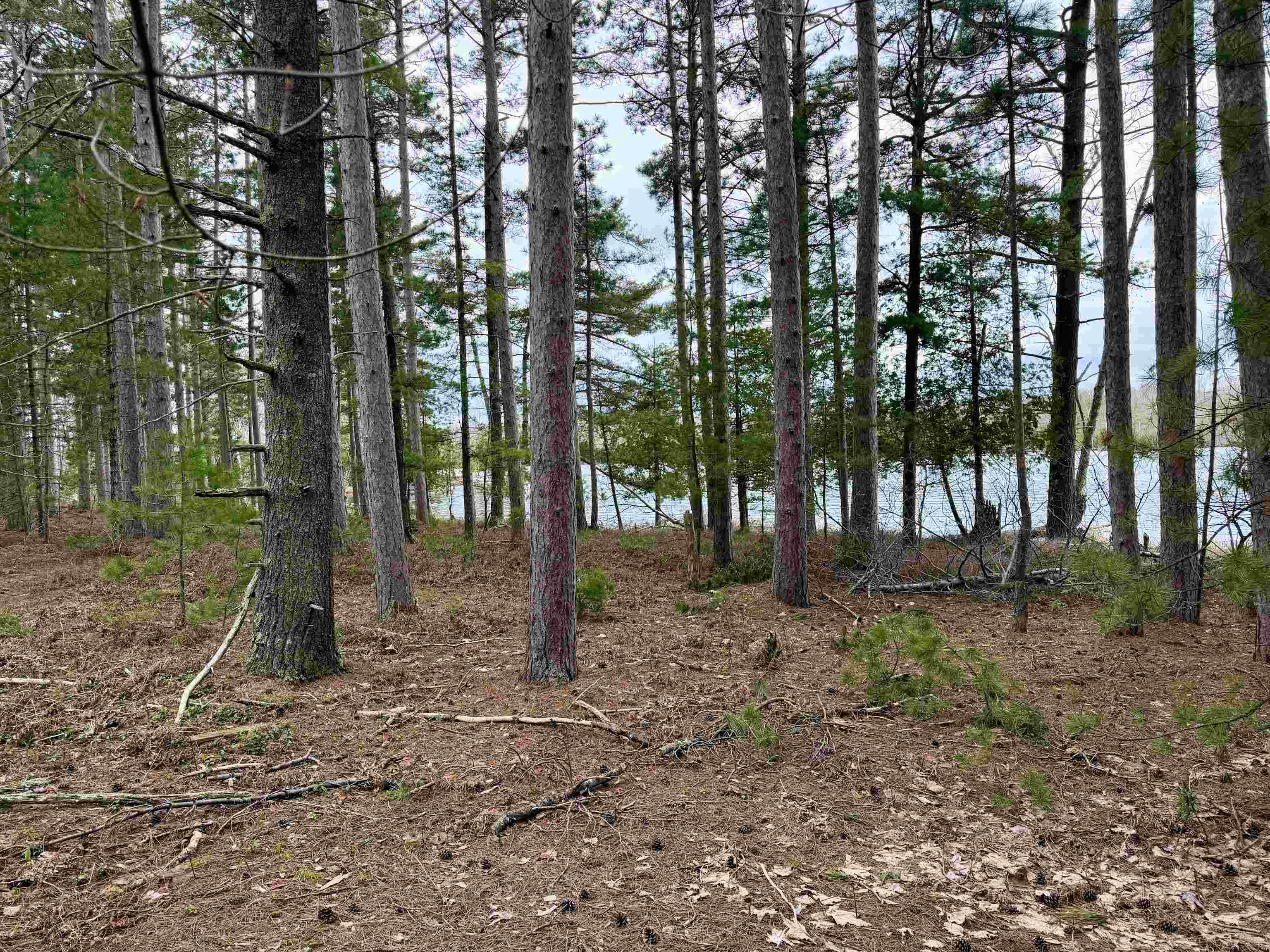 Tbd Whitetail Trail Property Photo 19