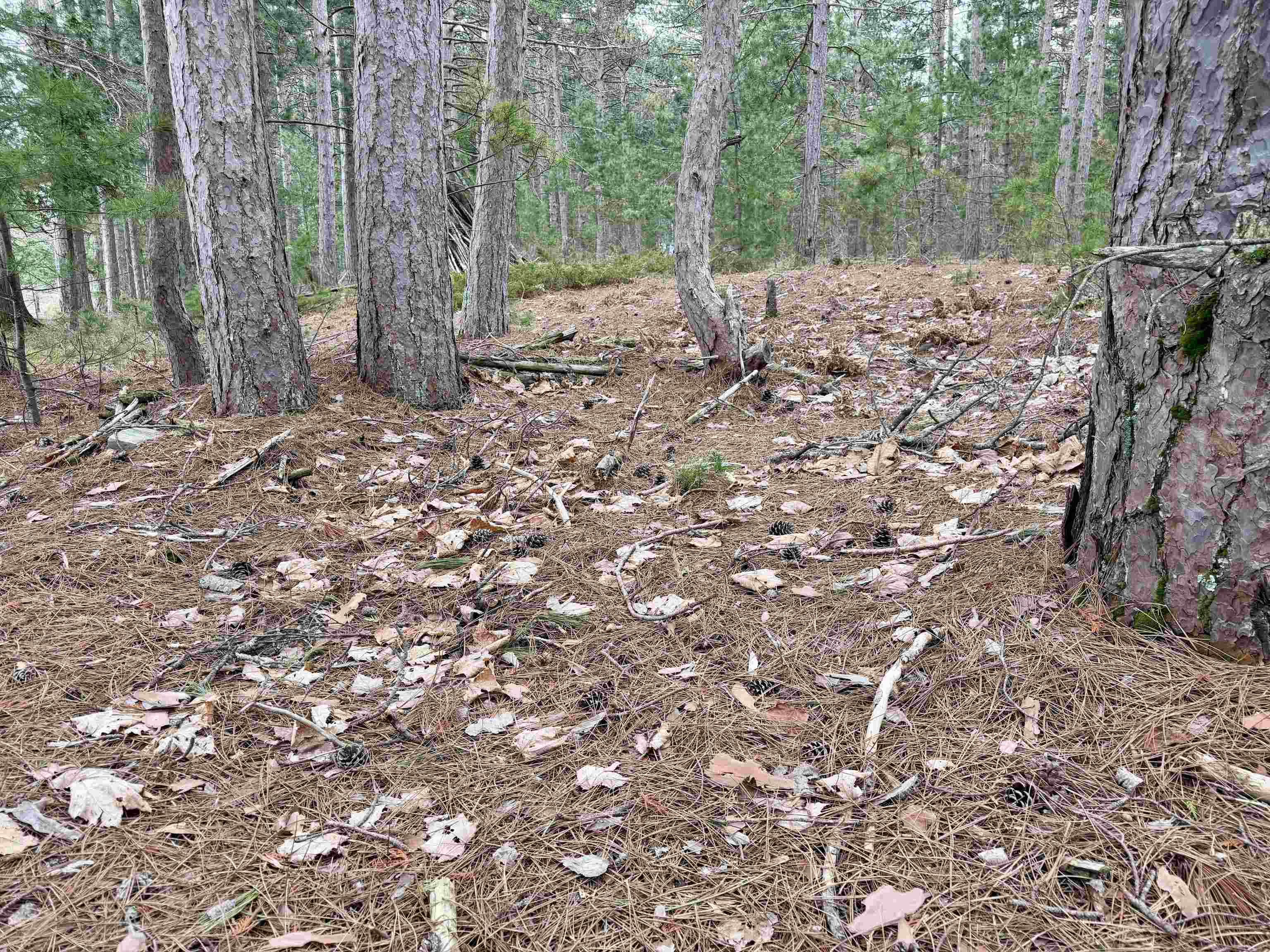 Tbd Whitetail Trail Property Photo 20