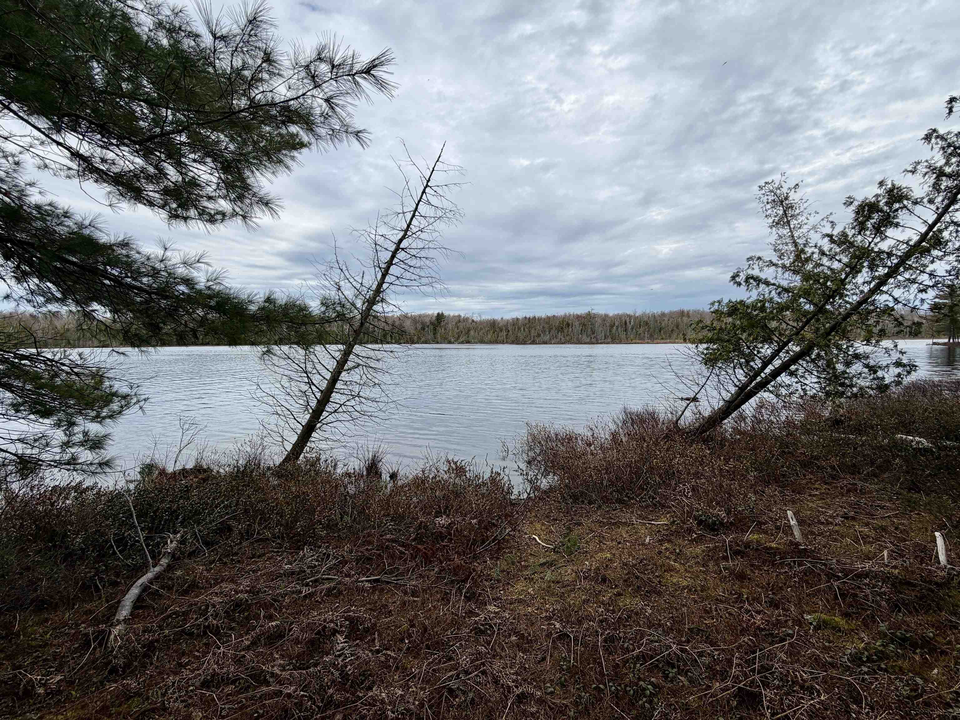 Tbd Whitetail Trail Property Photo 21