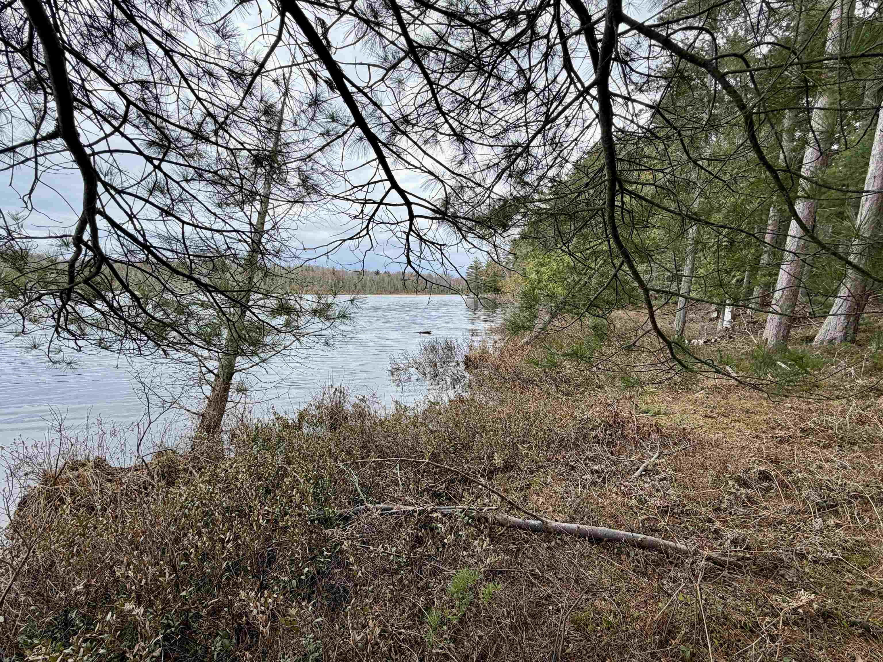Tbd Whitetail Trail Property Photo 23