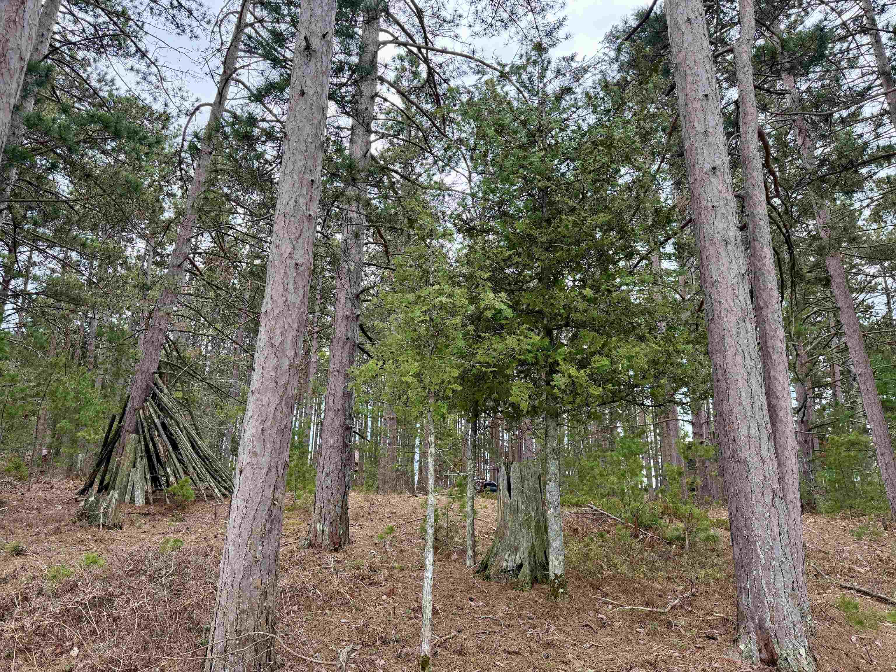 Tbd Whitetail Trail Property Photo 26